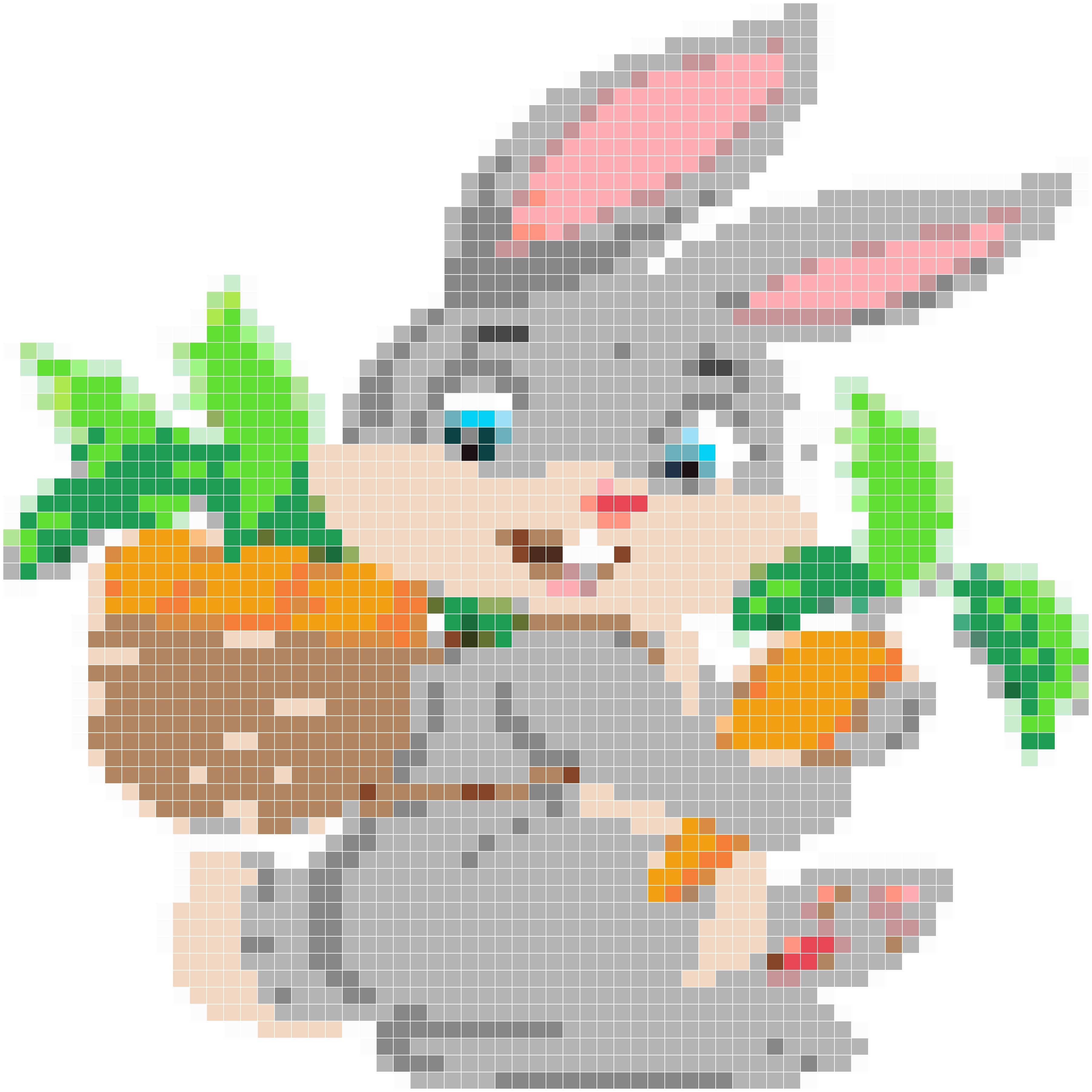 小兔子