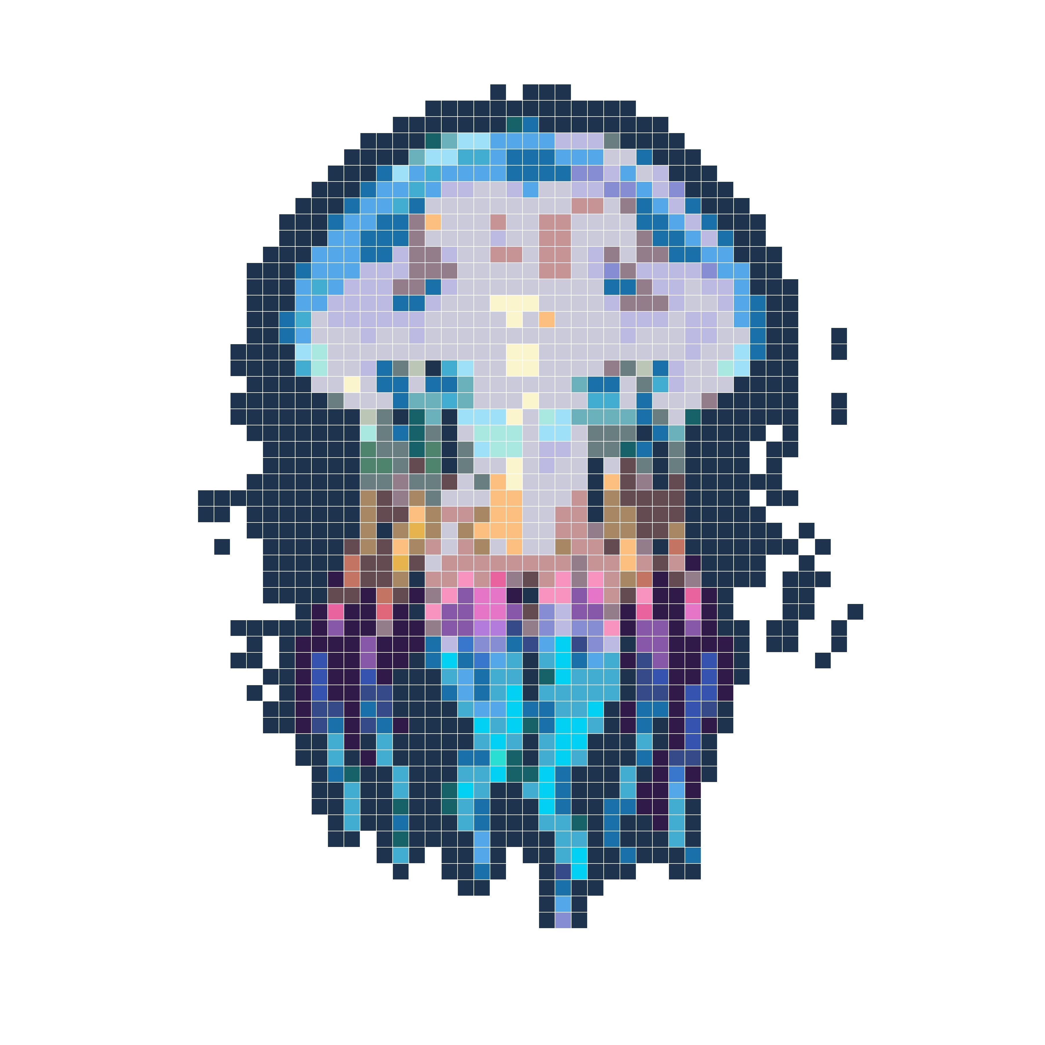 梦幻水母