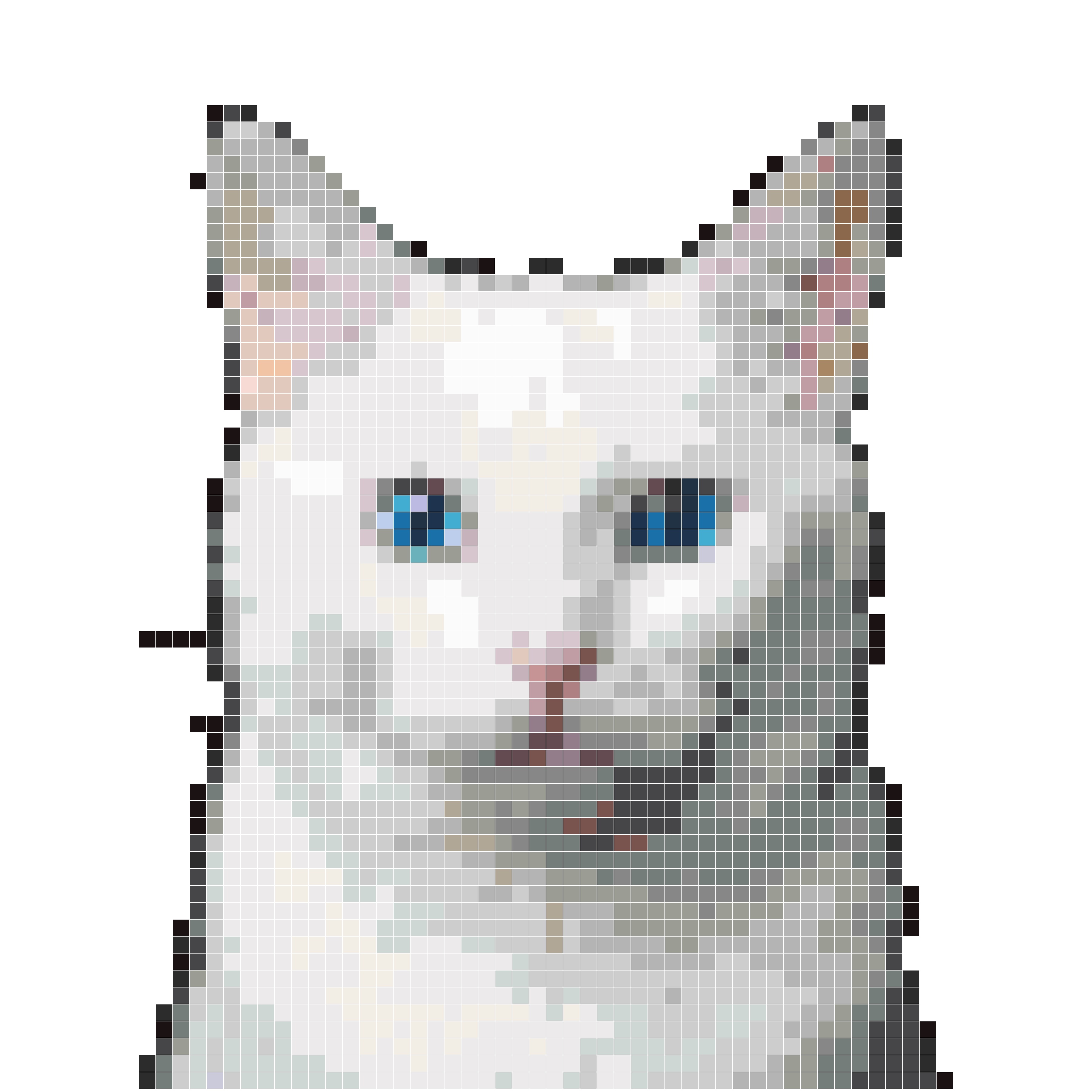 白色猫咪头像