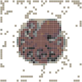 沉睡的章鱼