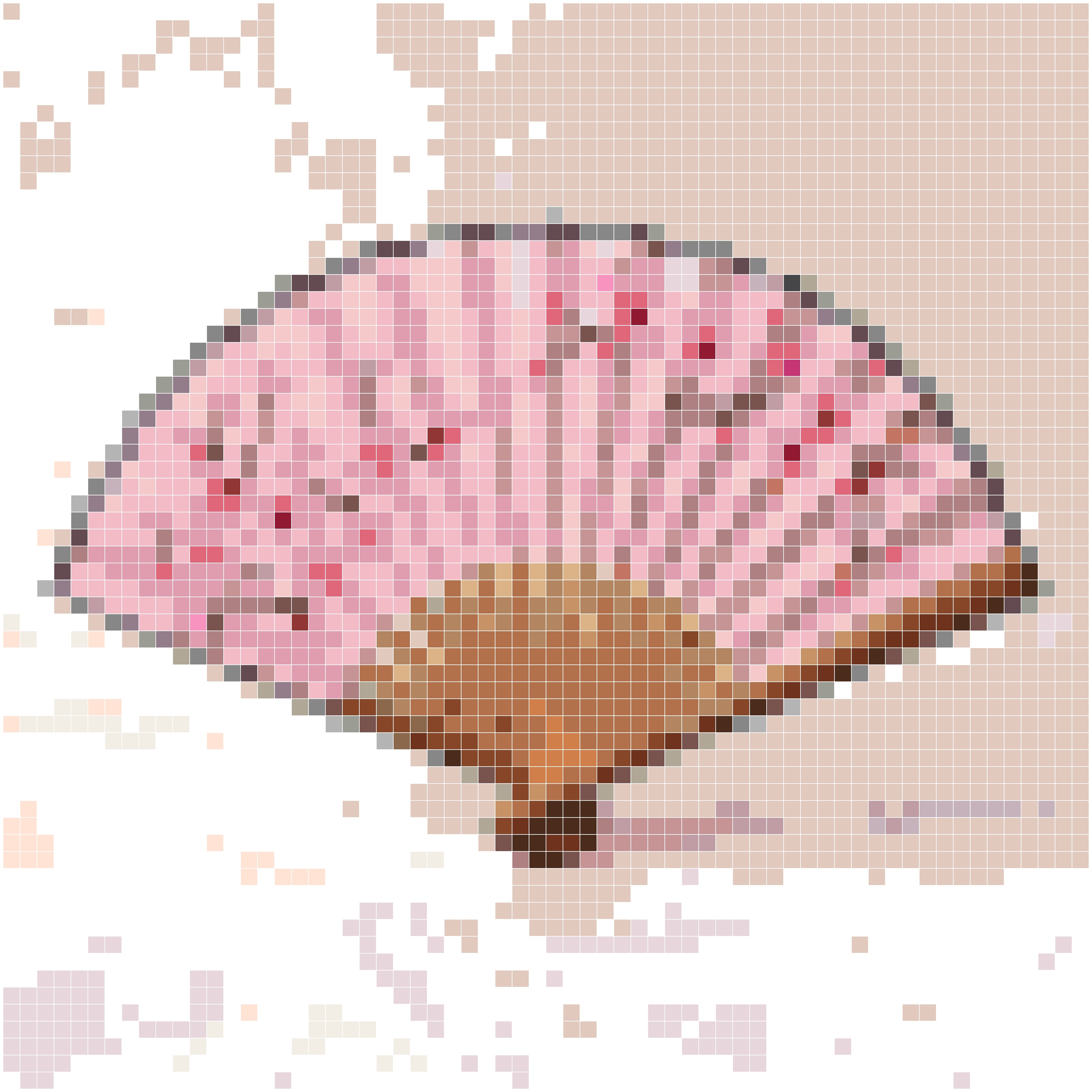 樱花图案折扇