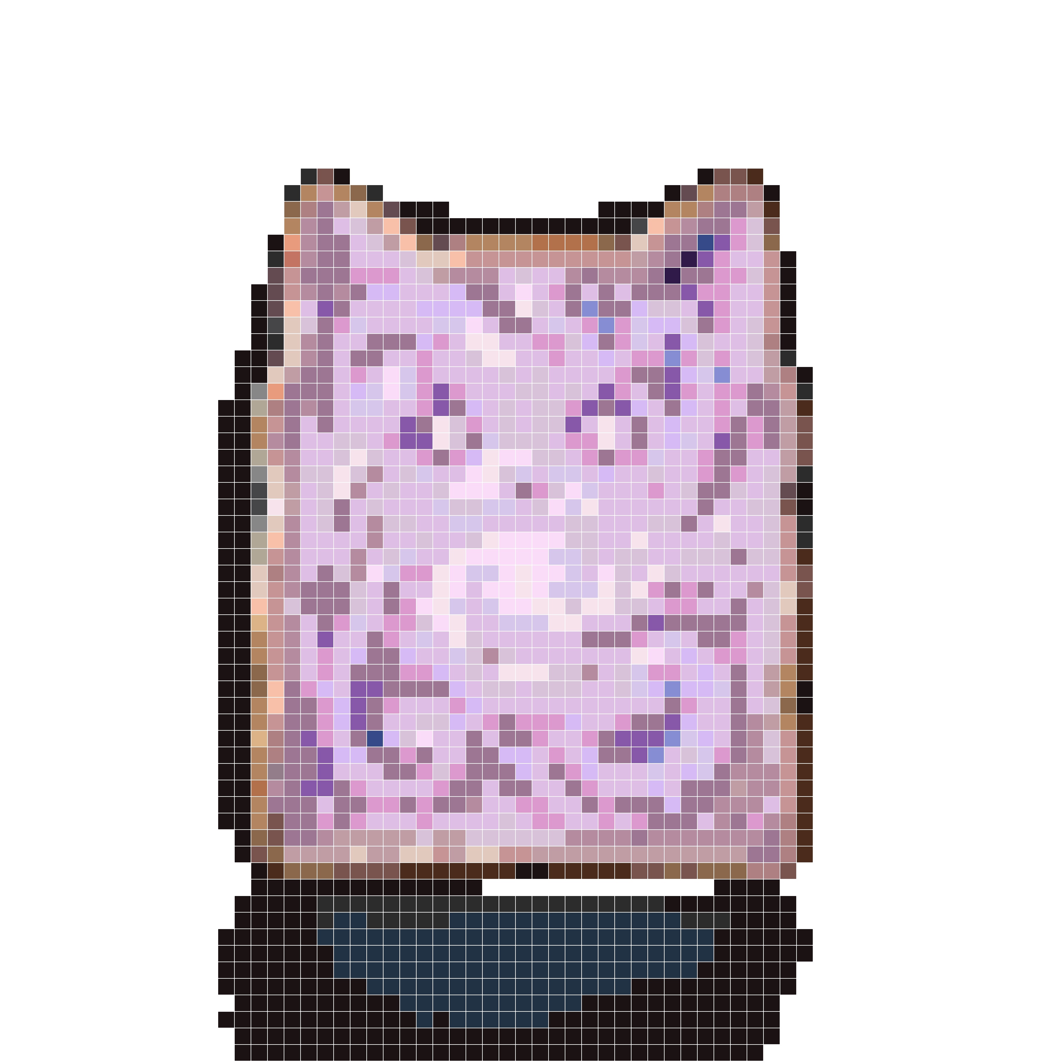 星云猫咪吐司