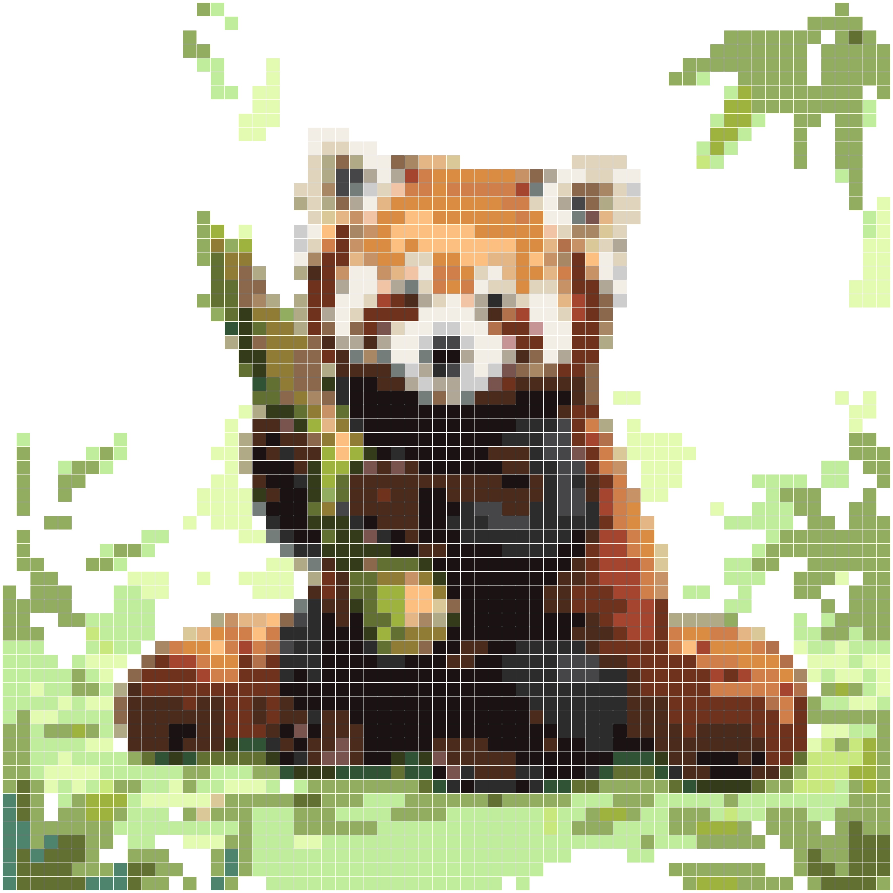 小熊猫抱着竹笋