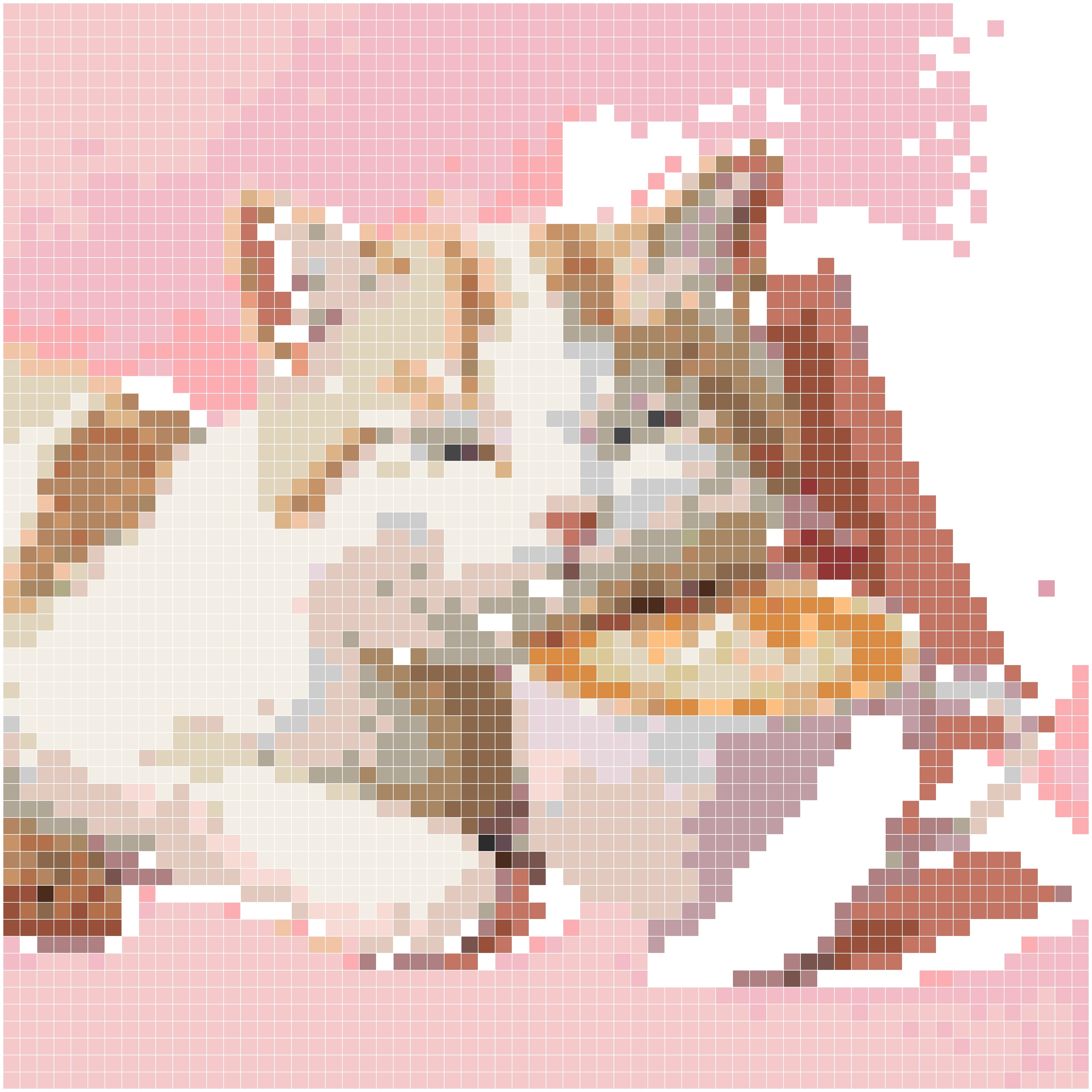 拿铁奶猫