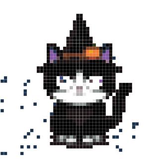 暗黑魔女猫