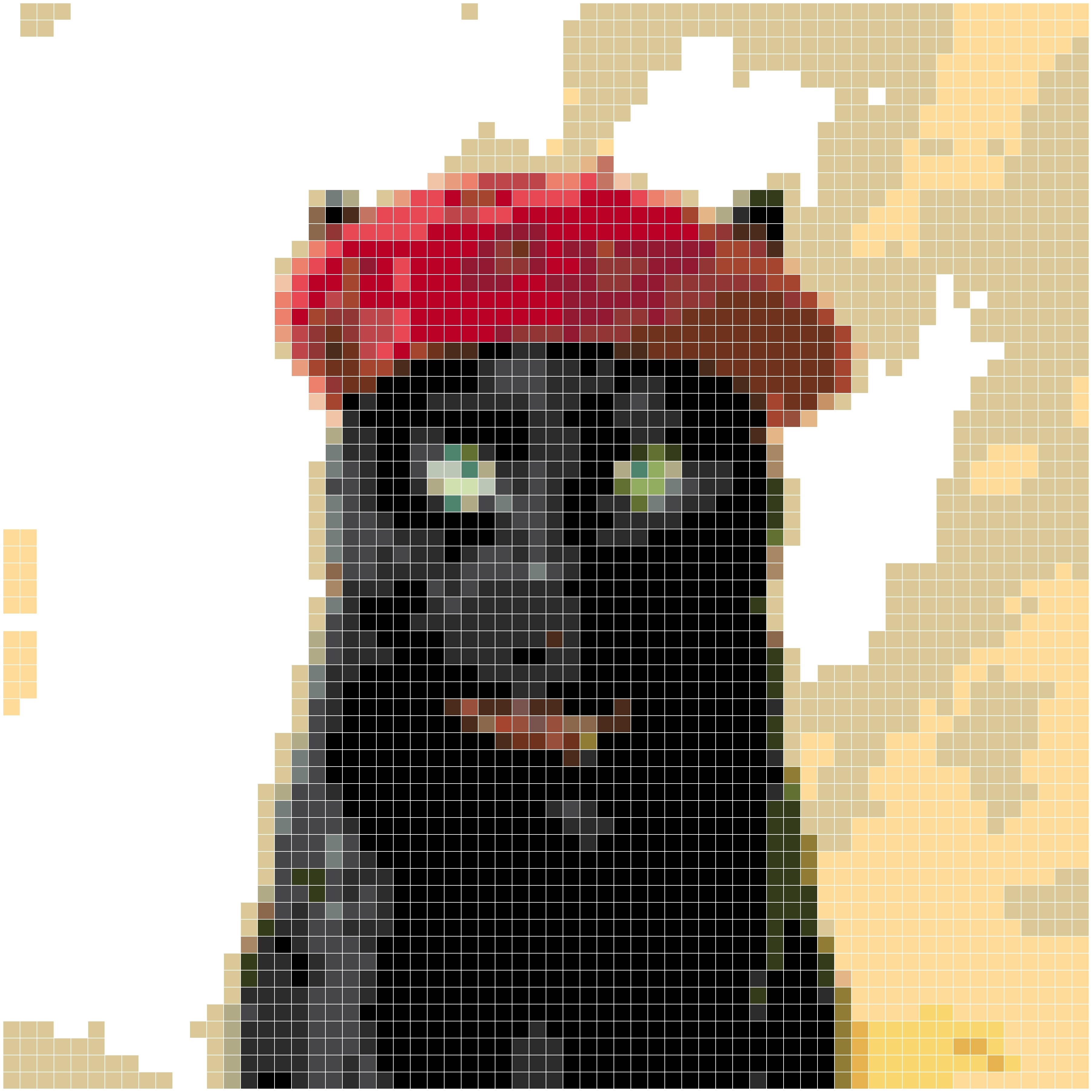 戴着贝雷帽的神秘黑猫