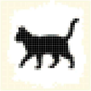 漫步猫咪