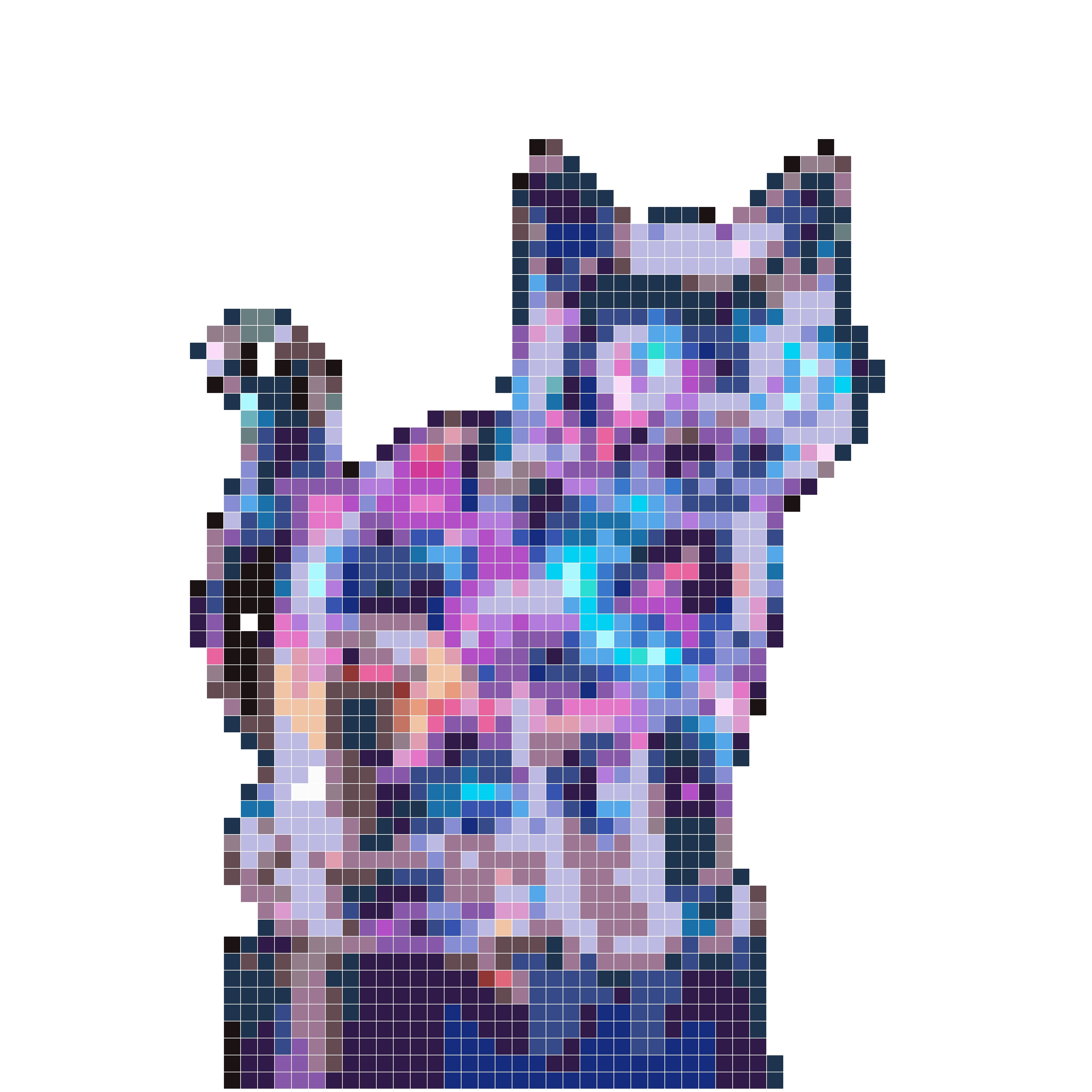 微笑的量子星云猫