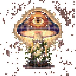 月光蘑菇林
