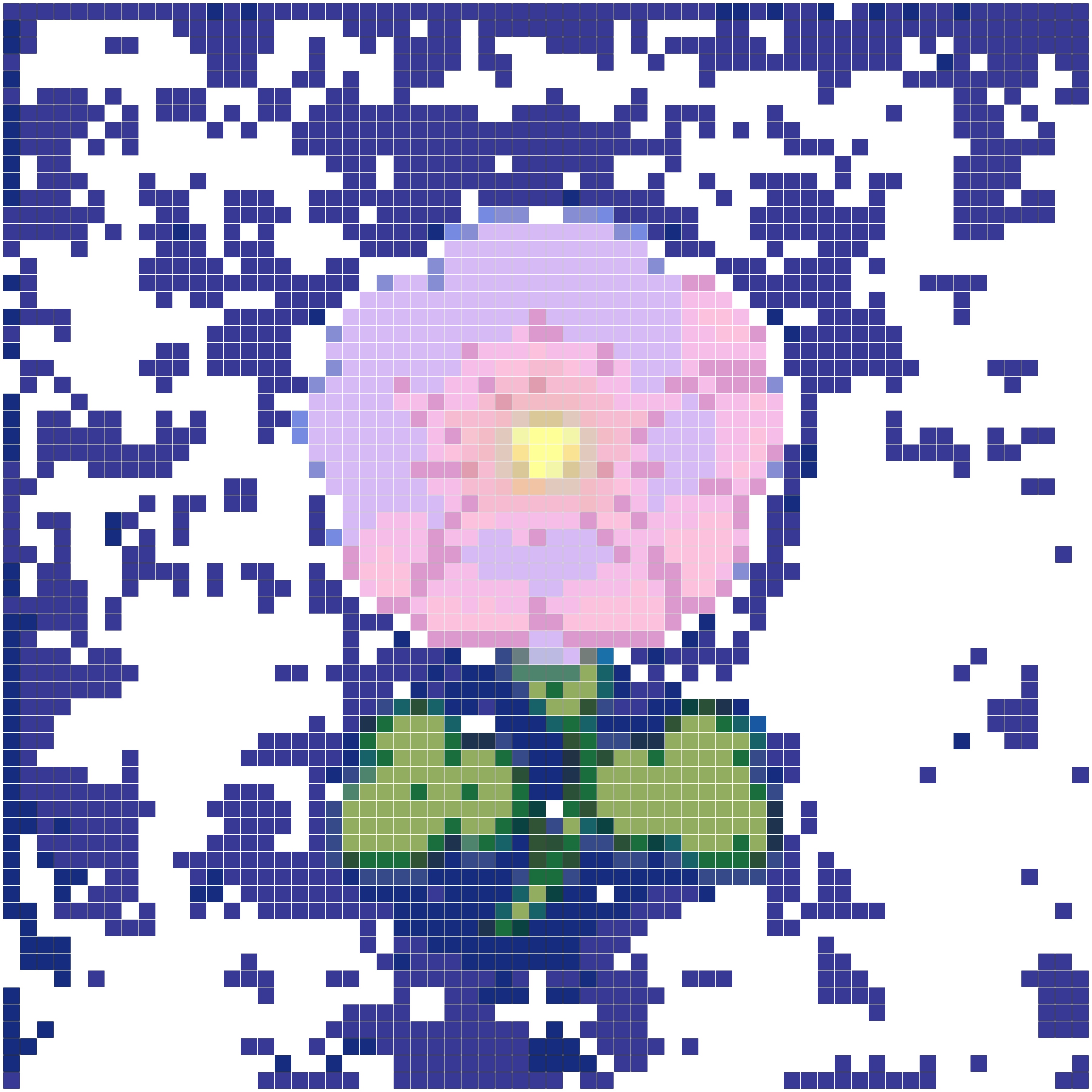 梦幻星夜牵牛花