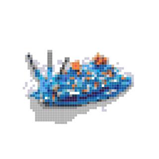 海洋生物