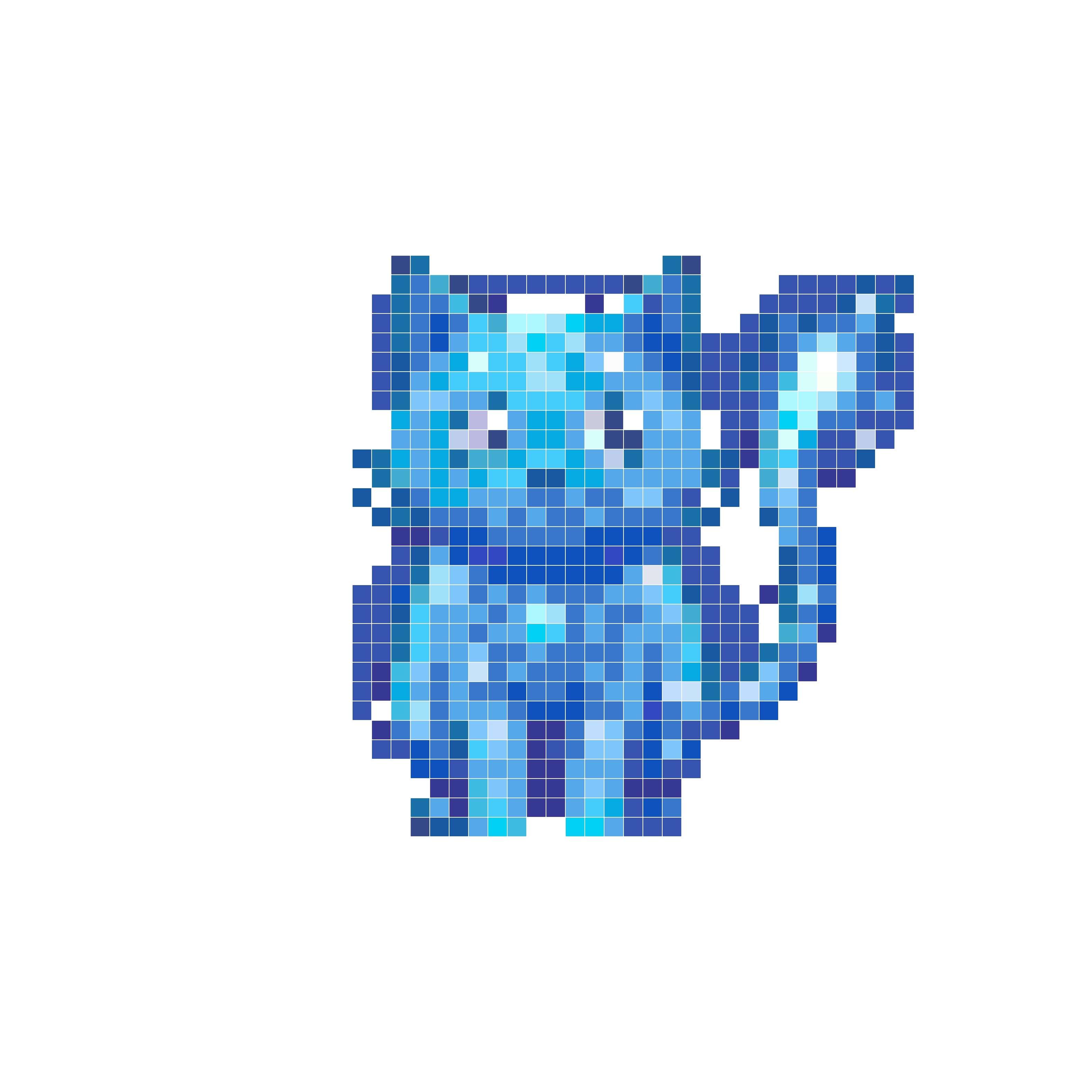 星光小猫