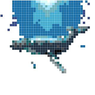 月光下的孤鲸