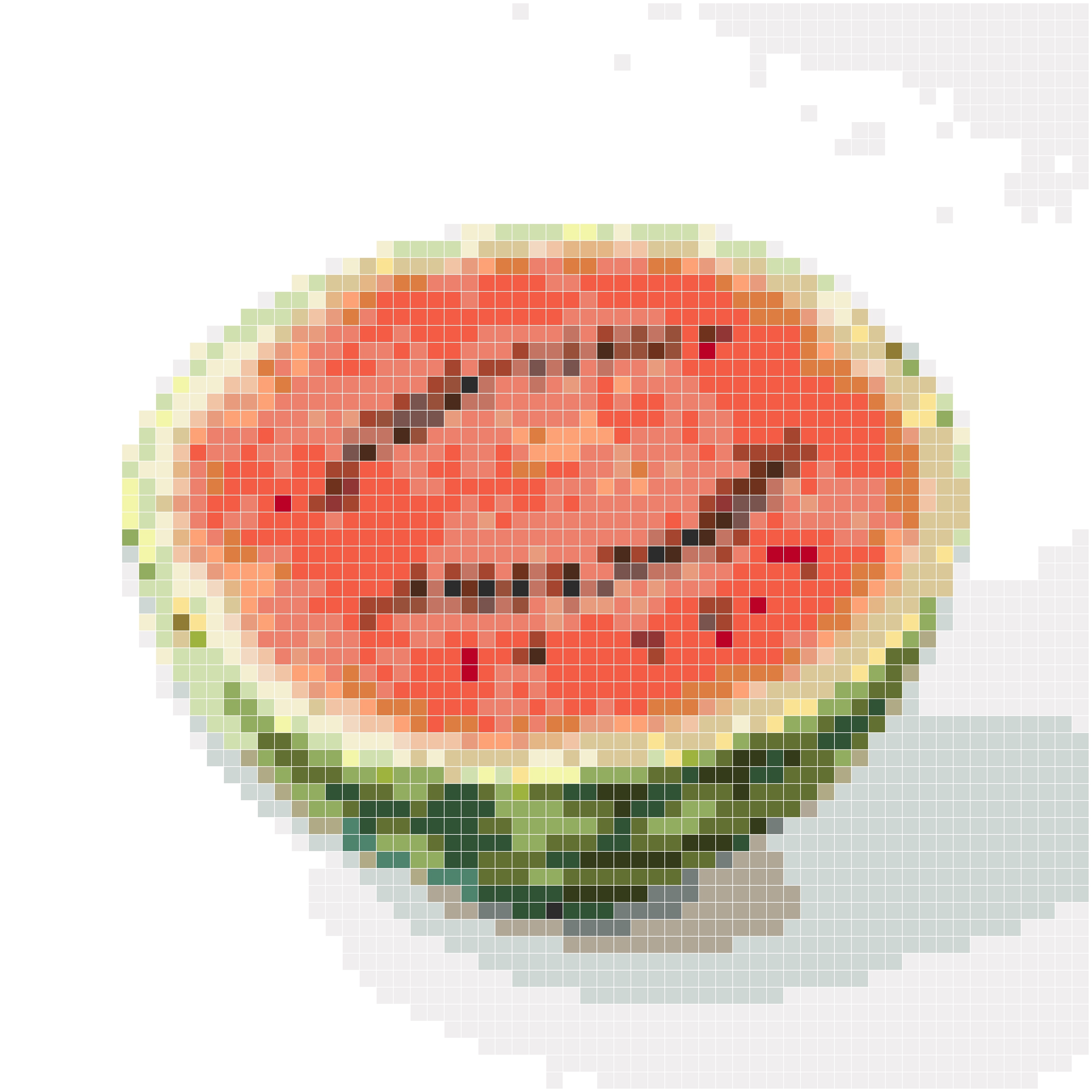 夏日西瓜