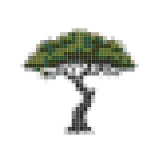 沙漠孤树