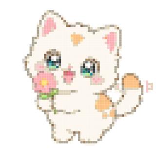 小猫咪献小花花
