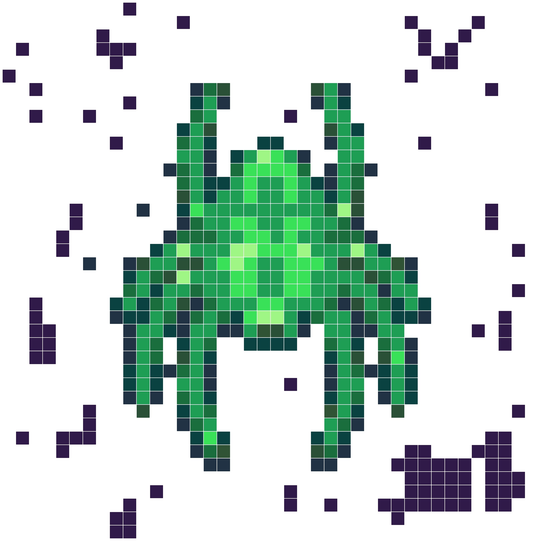 荧光蜘蛛与数字网