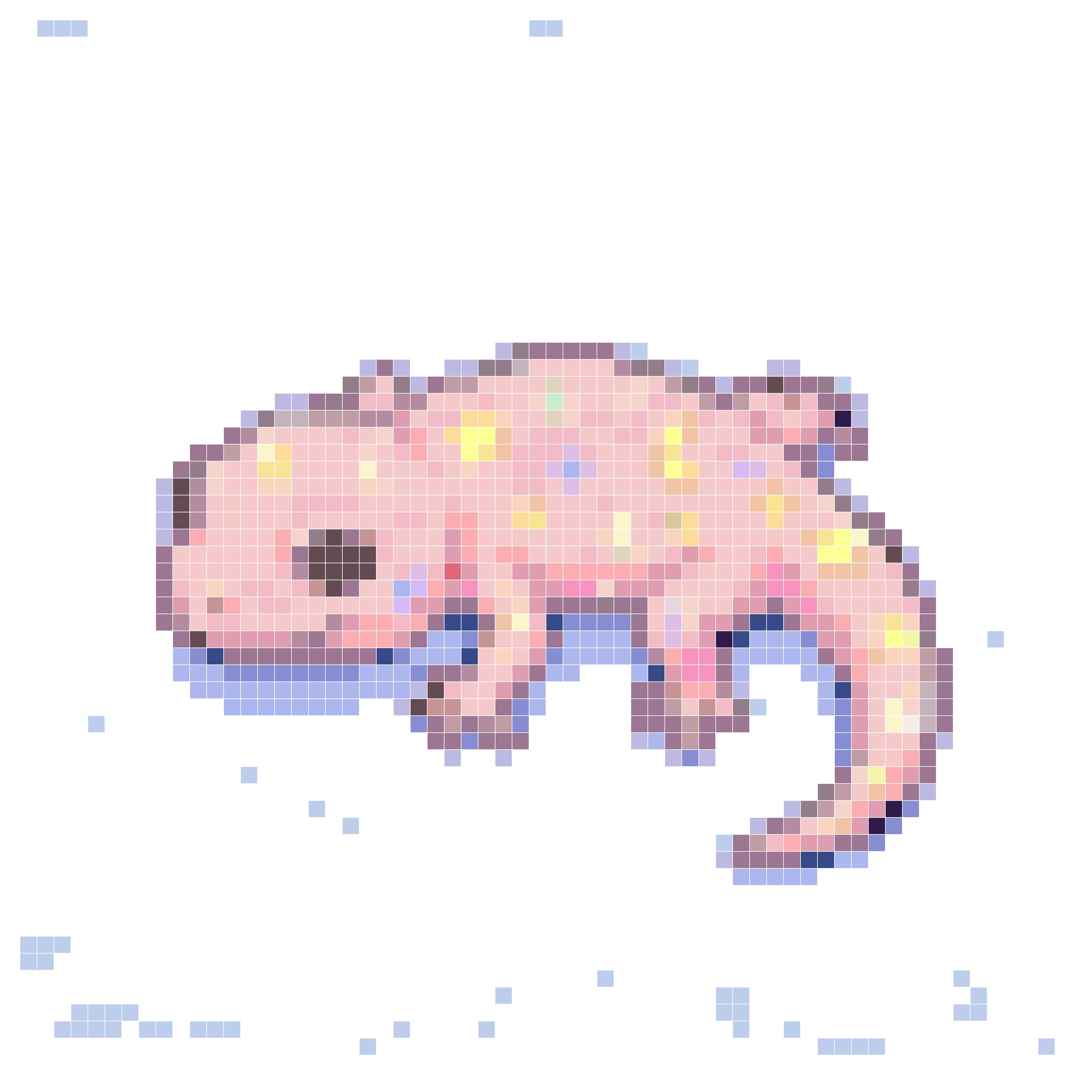 星月壁虎伙伴