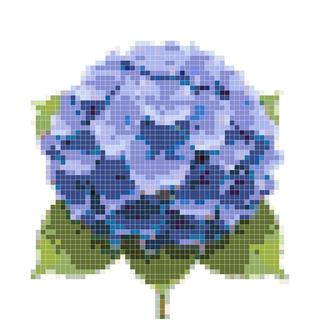 蓝紫色绣球花团