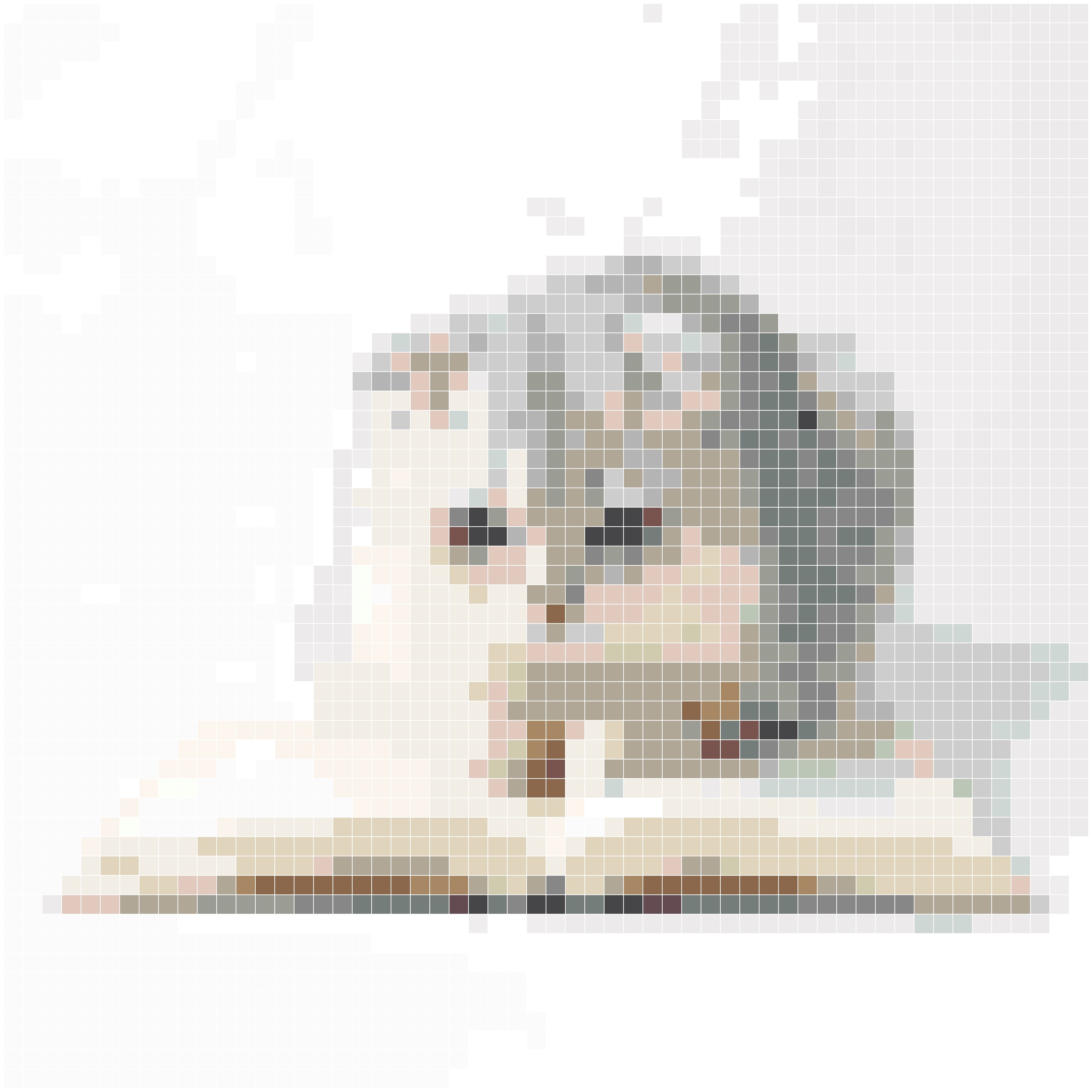 折耳猫趴在书本上