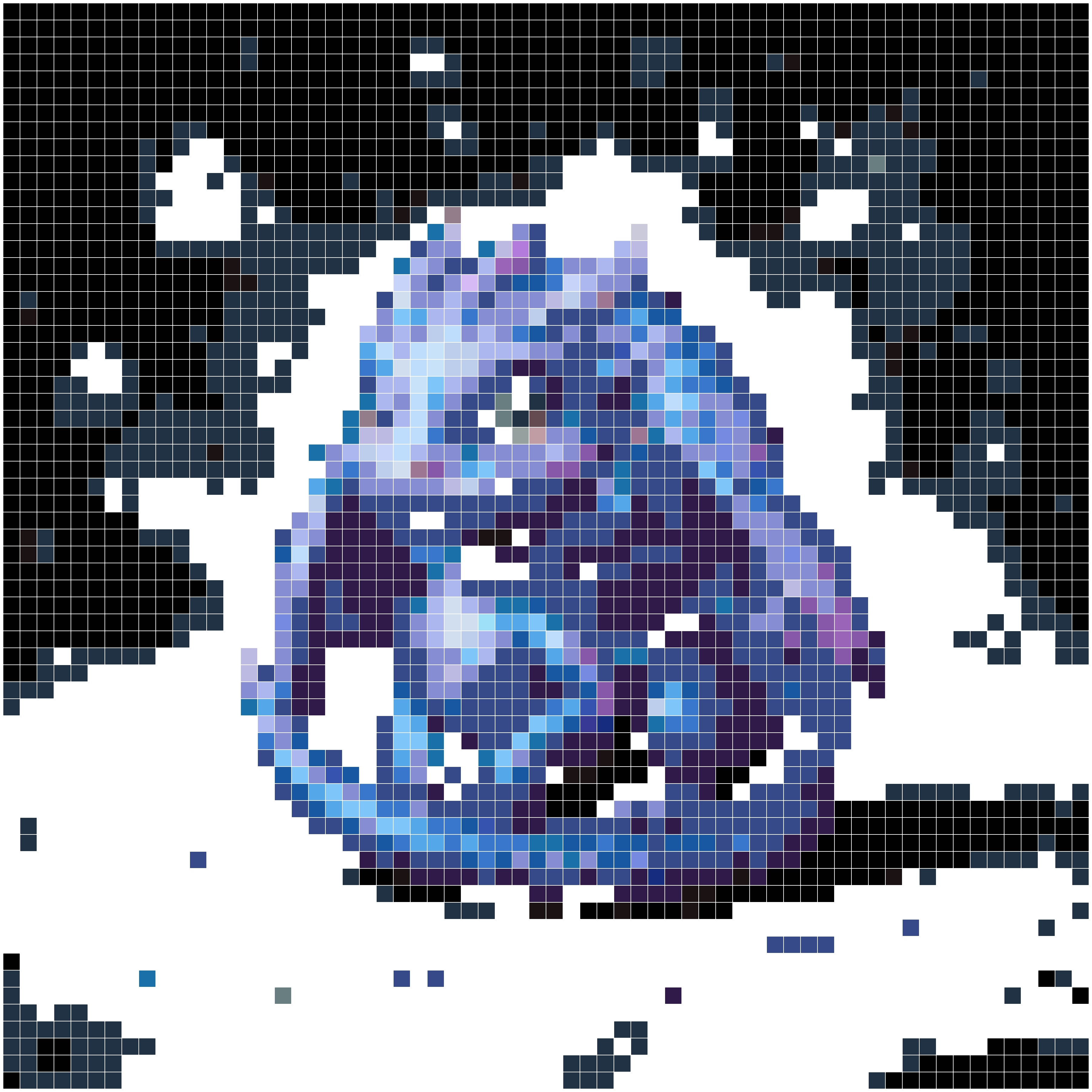 星辰蛋龙