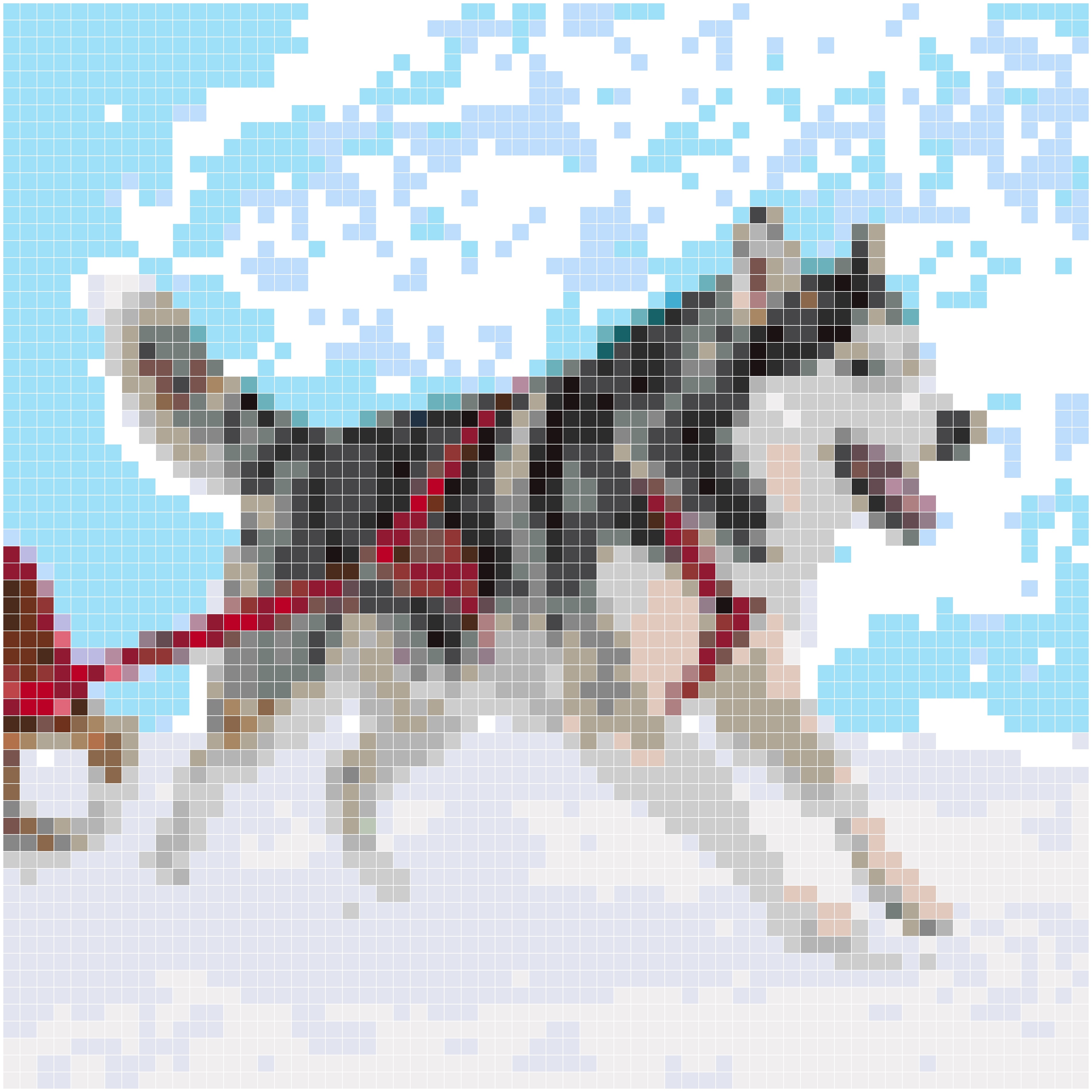 极光雪橇犬