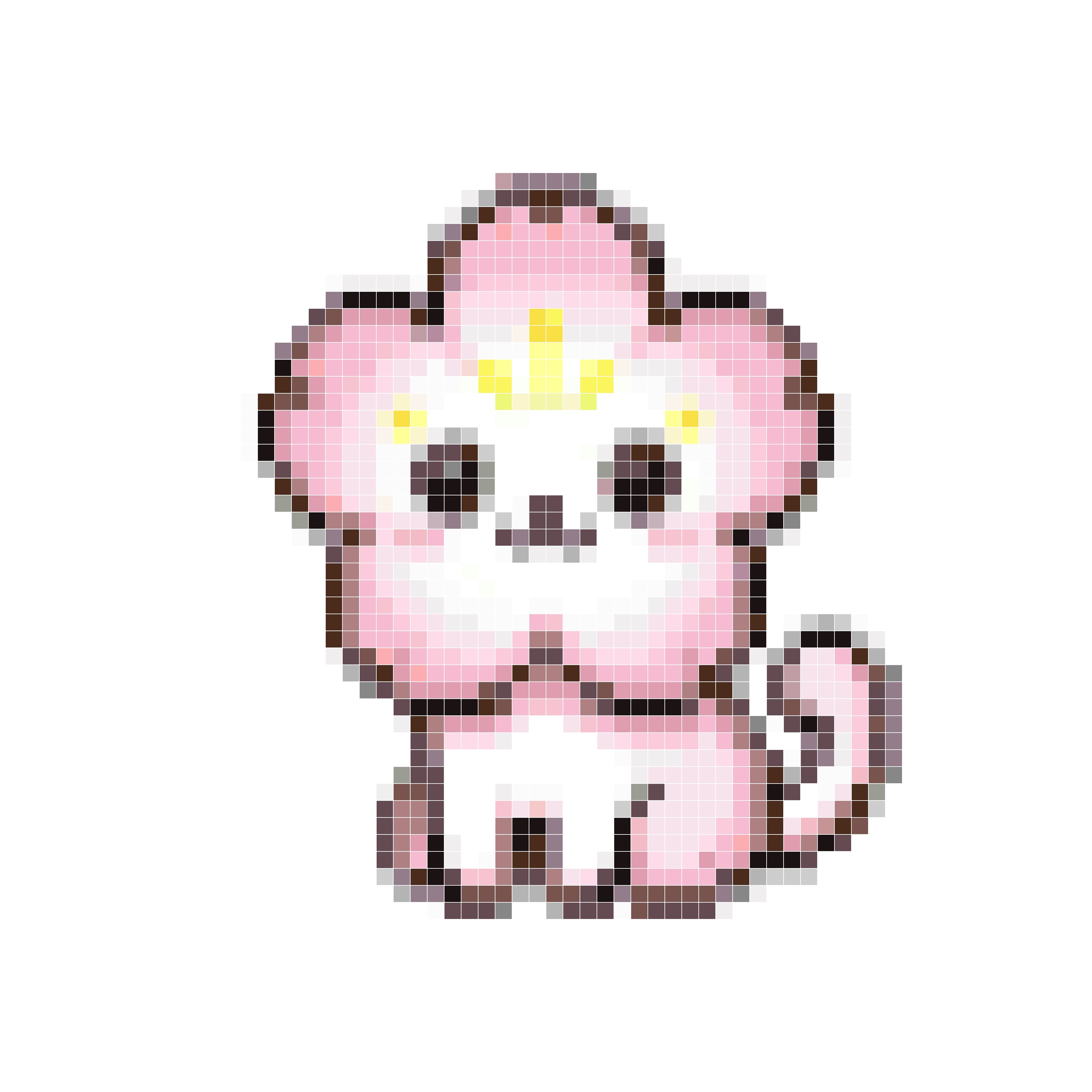 梅花猫微笑
