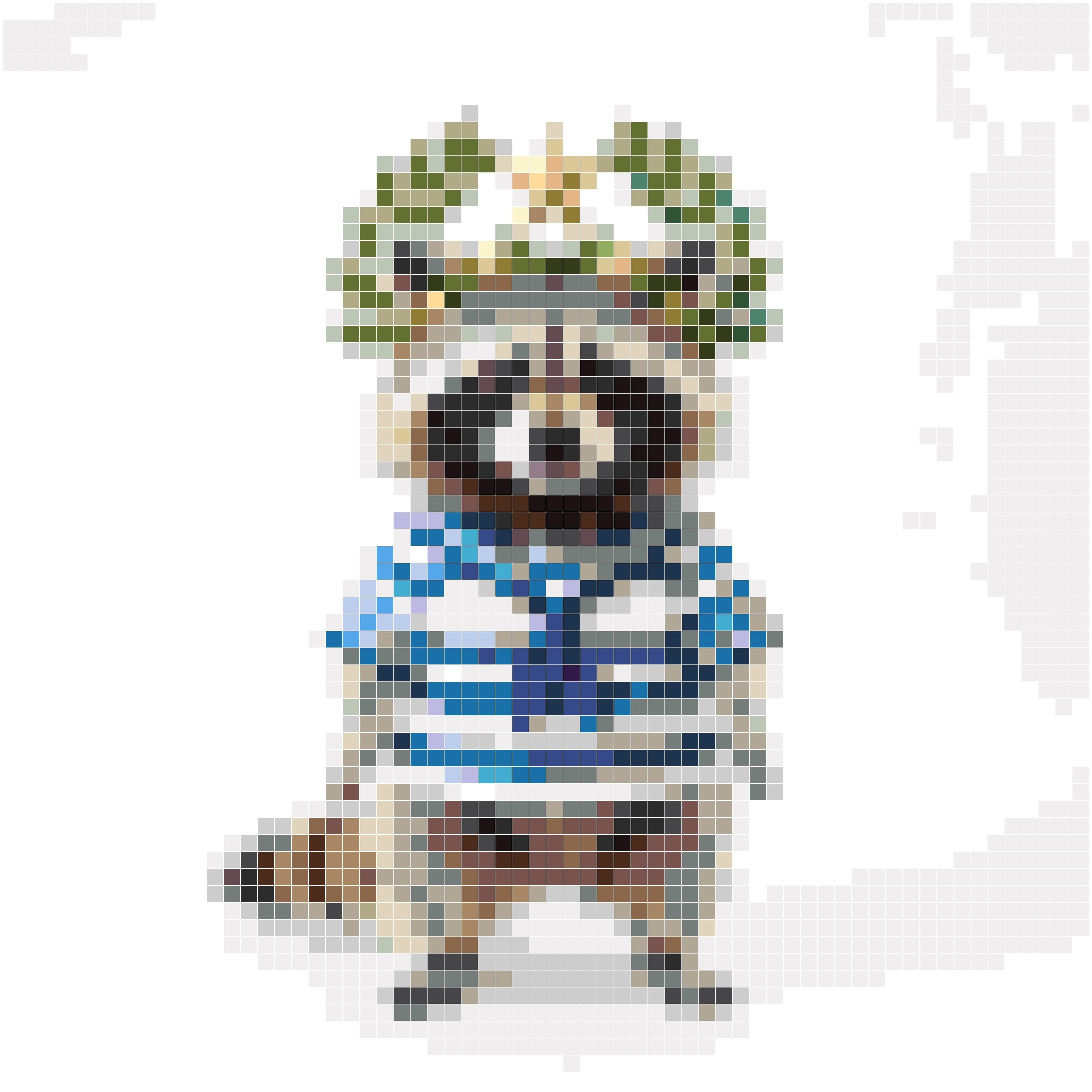 星月浣熊