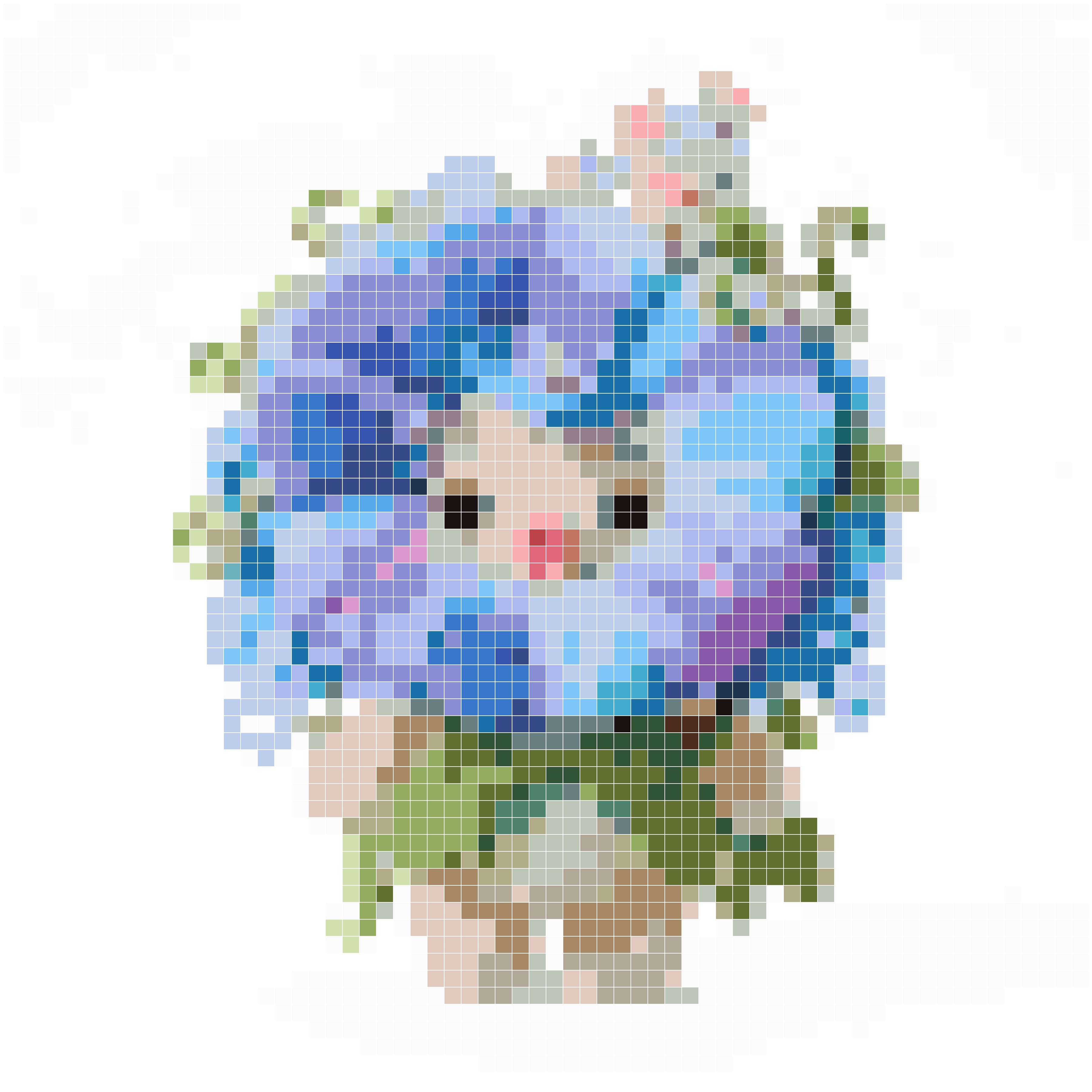 牵牛花精灵