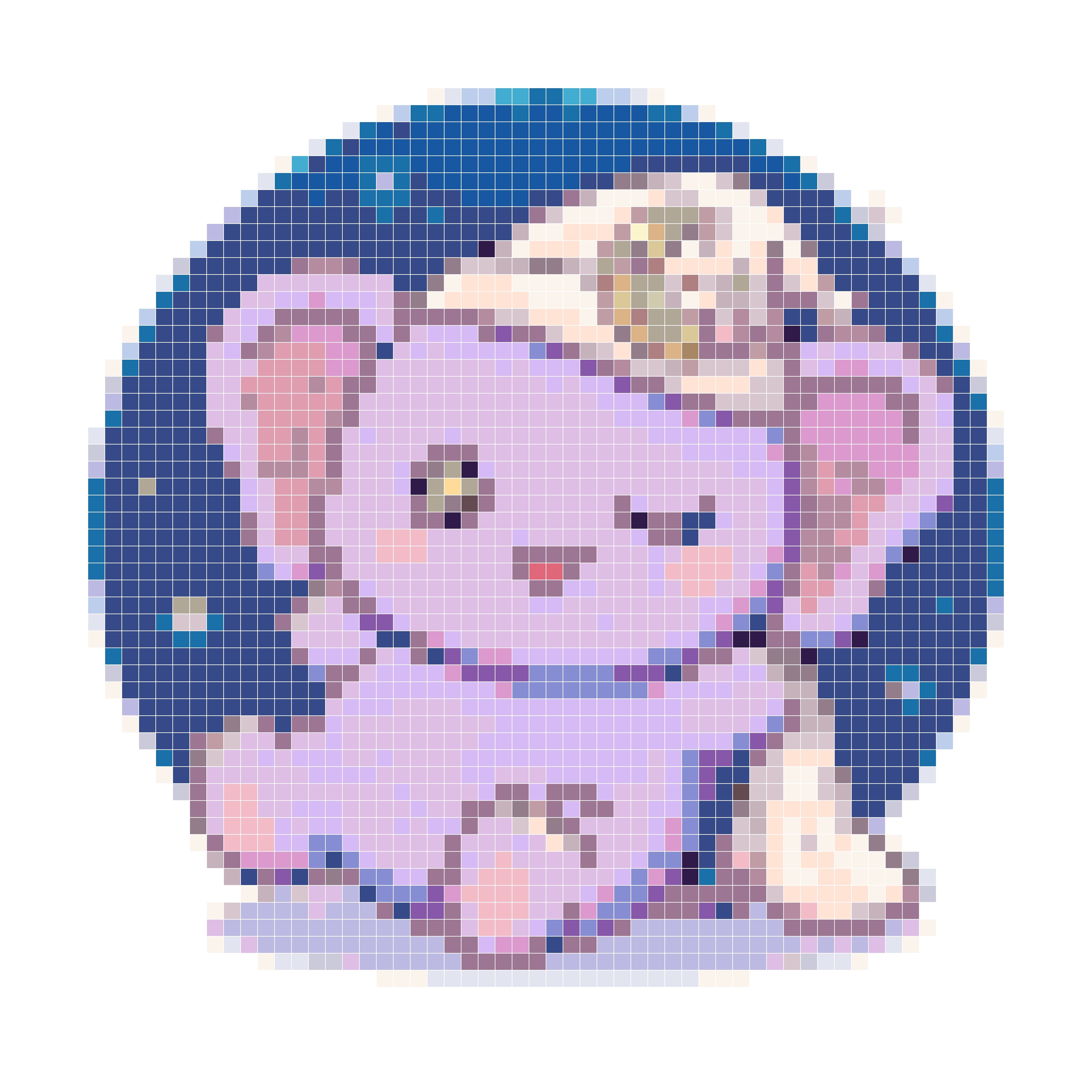 星月小象梦梦