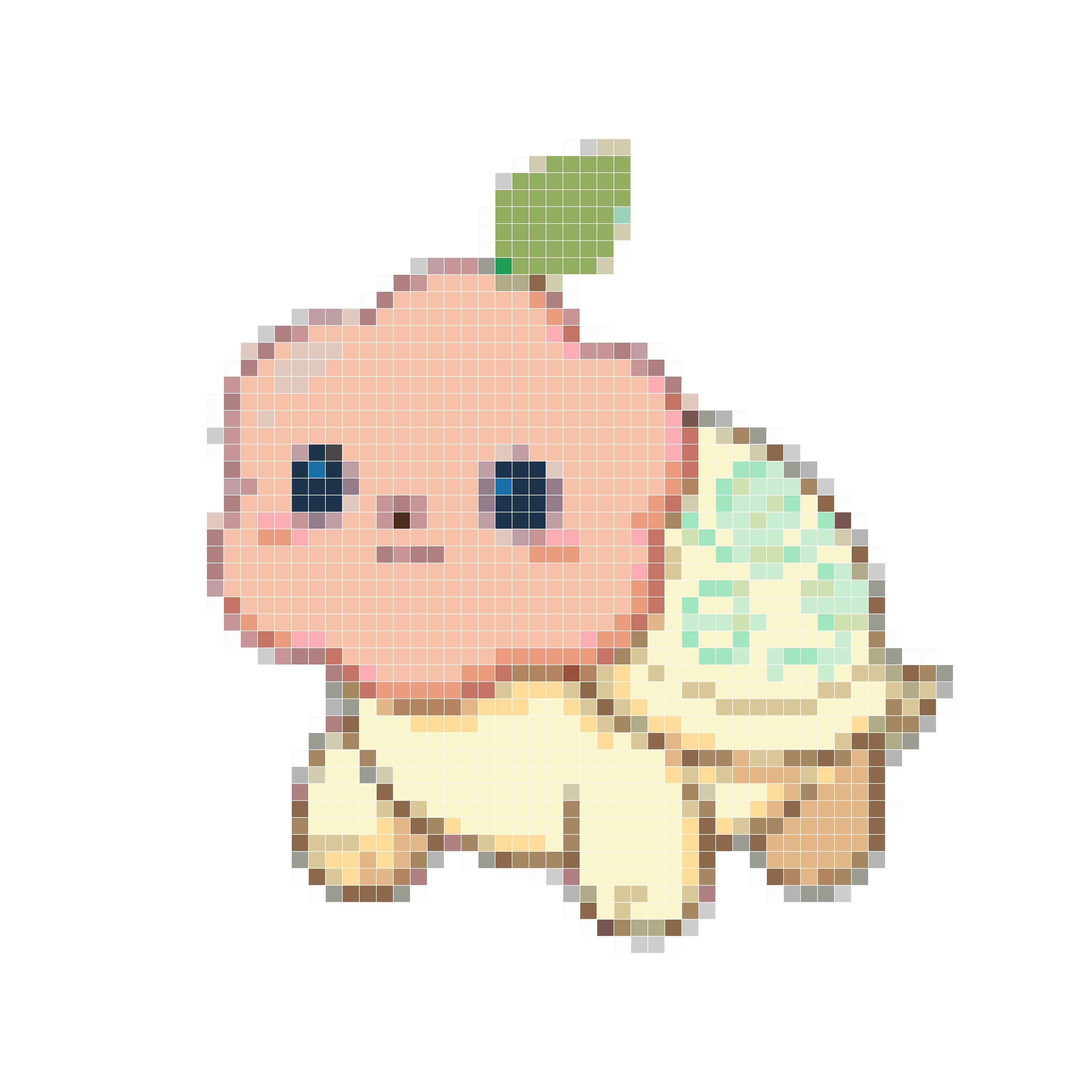 菱糖龟