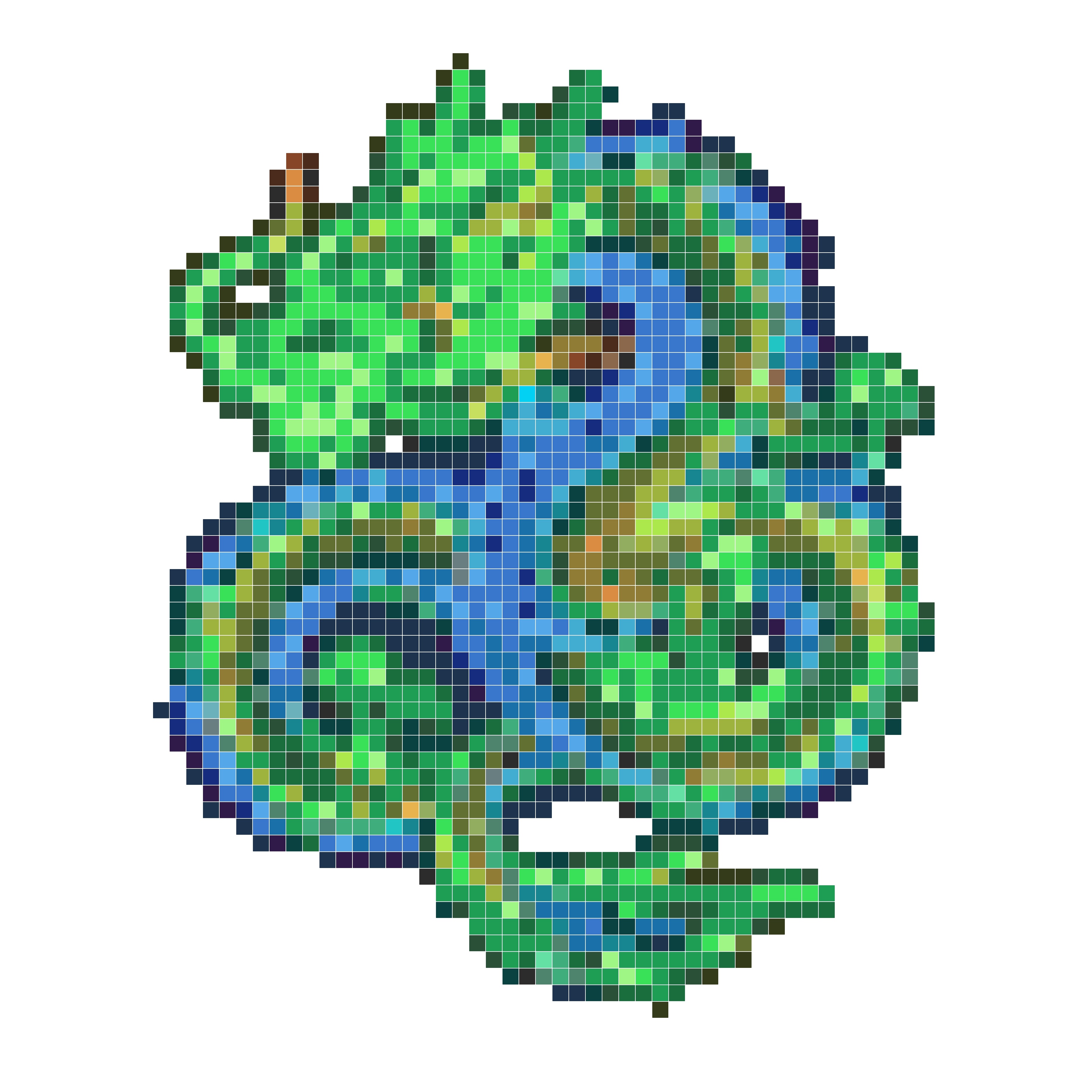 霓虹龙
