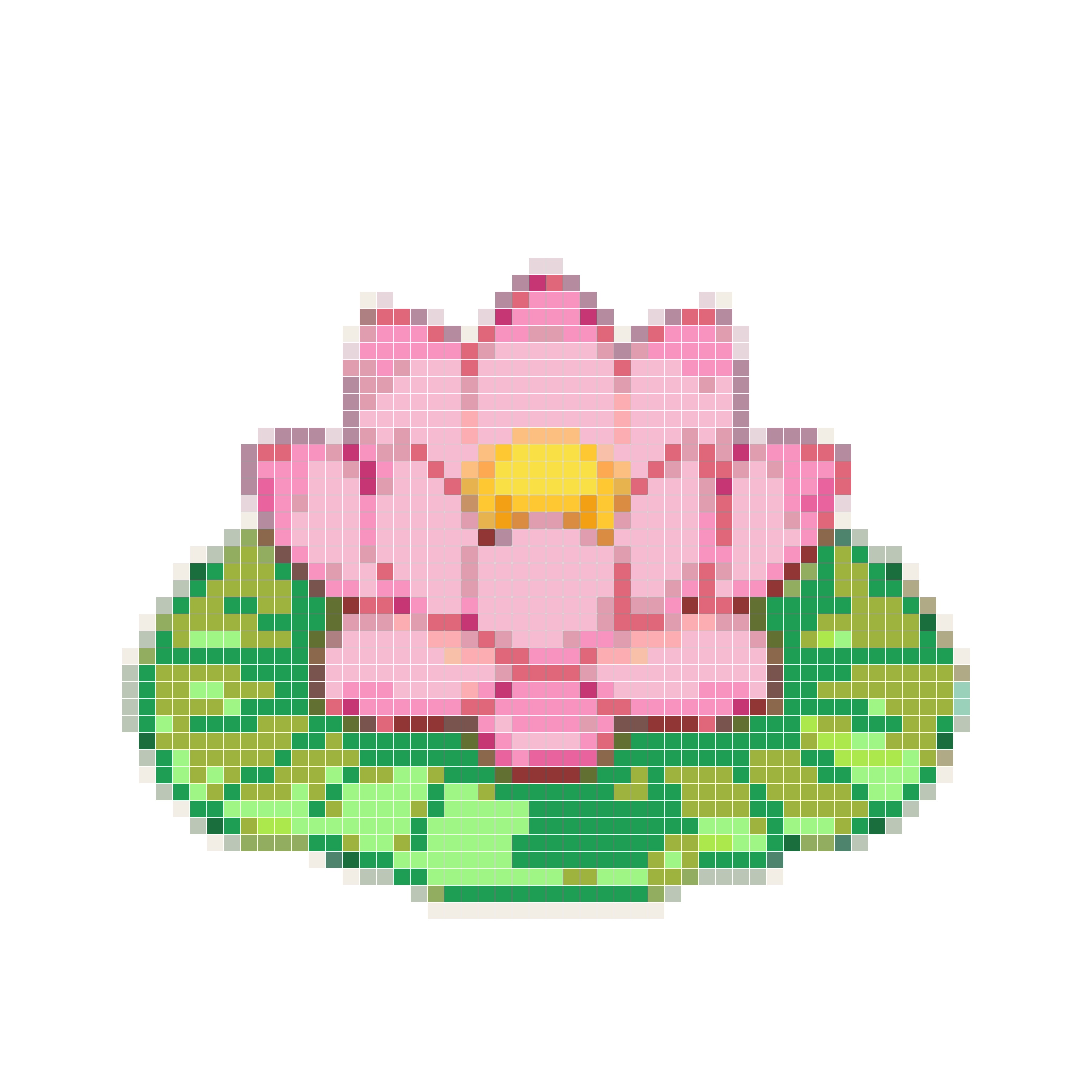 荷花仙子