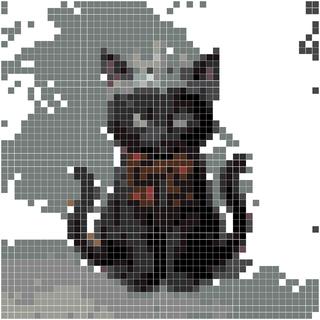 黑色伯爵猫