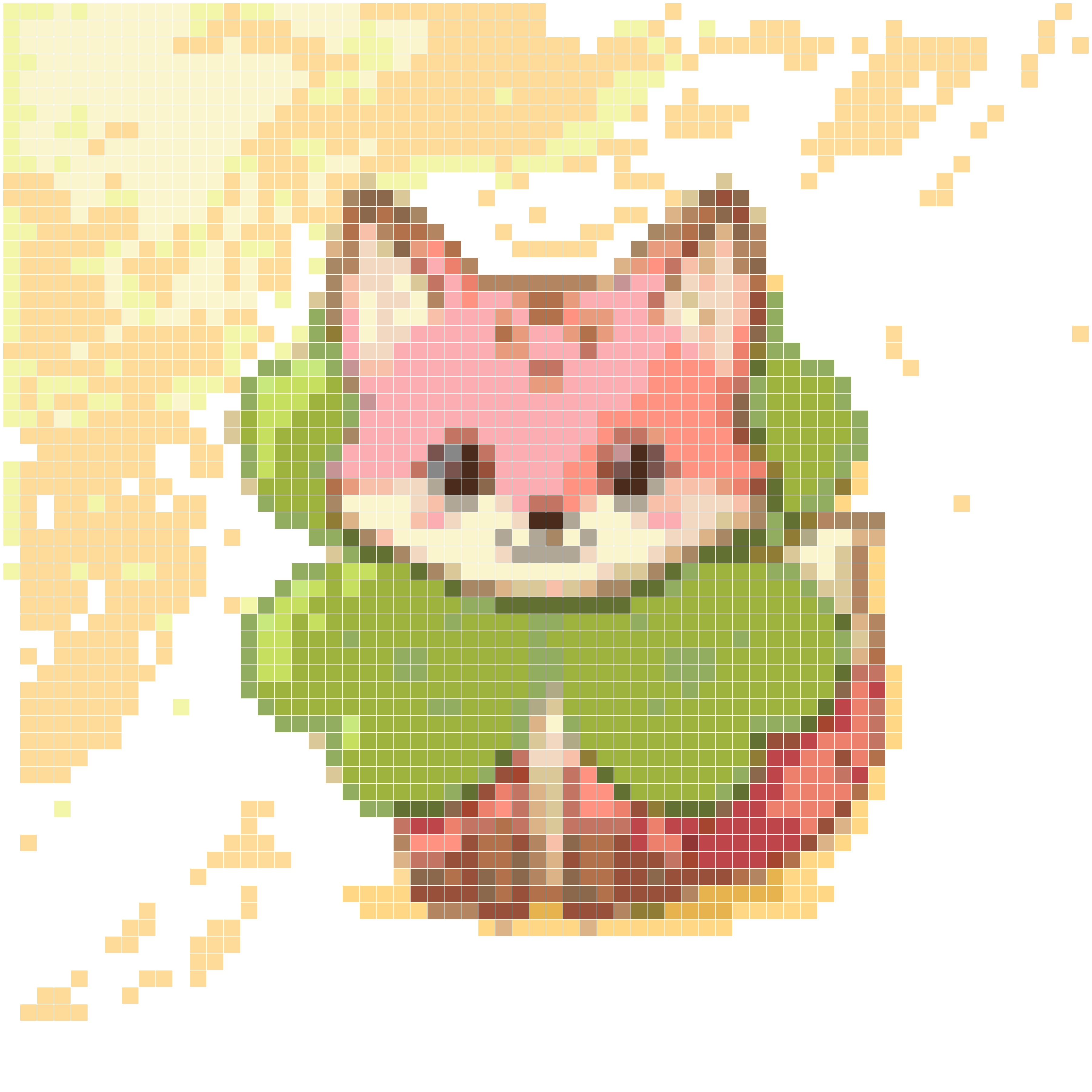 四叶草星星狐