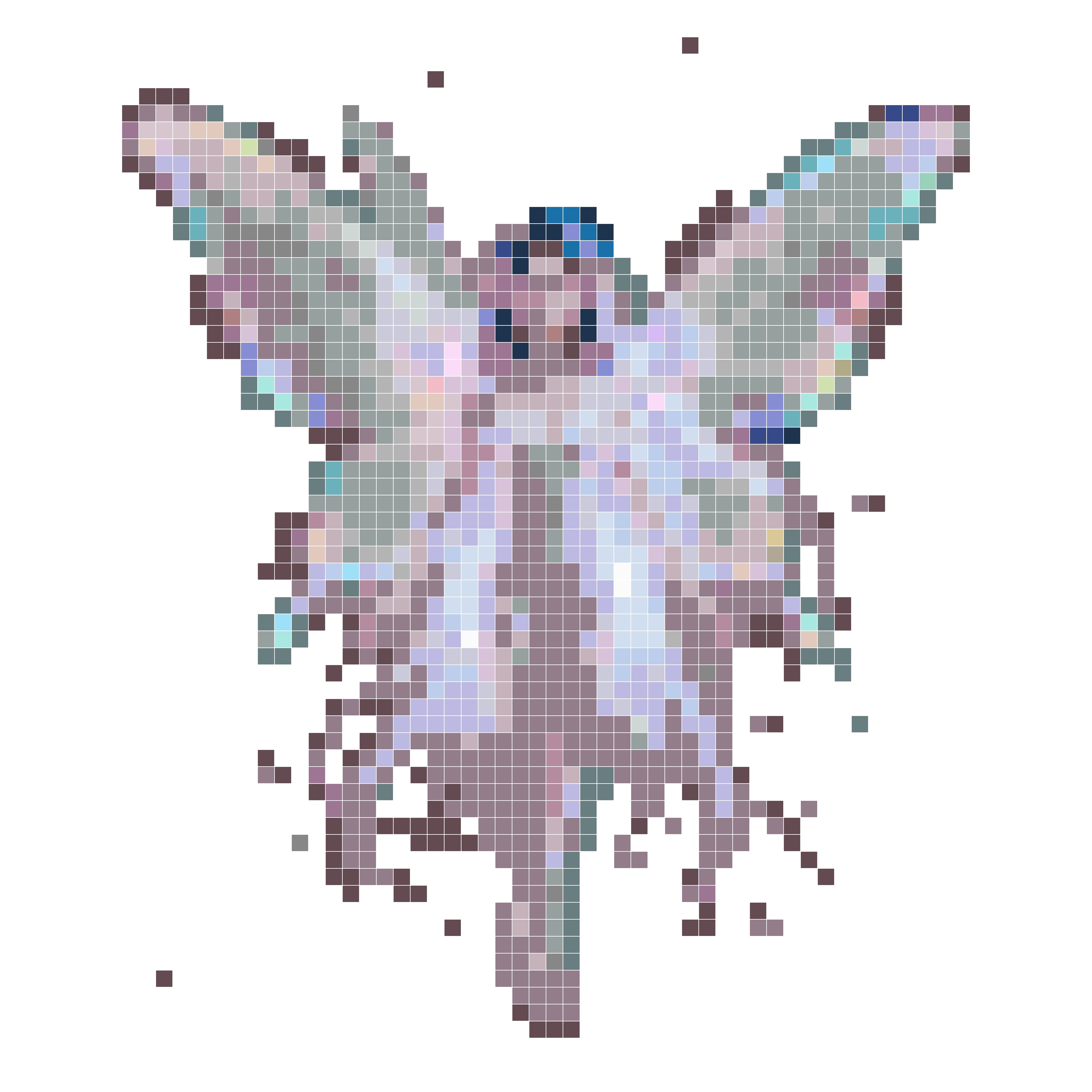 幻光仙灵