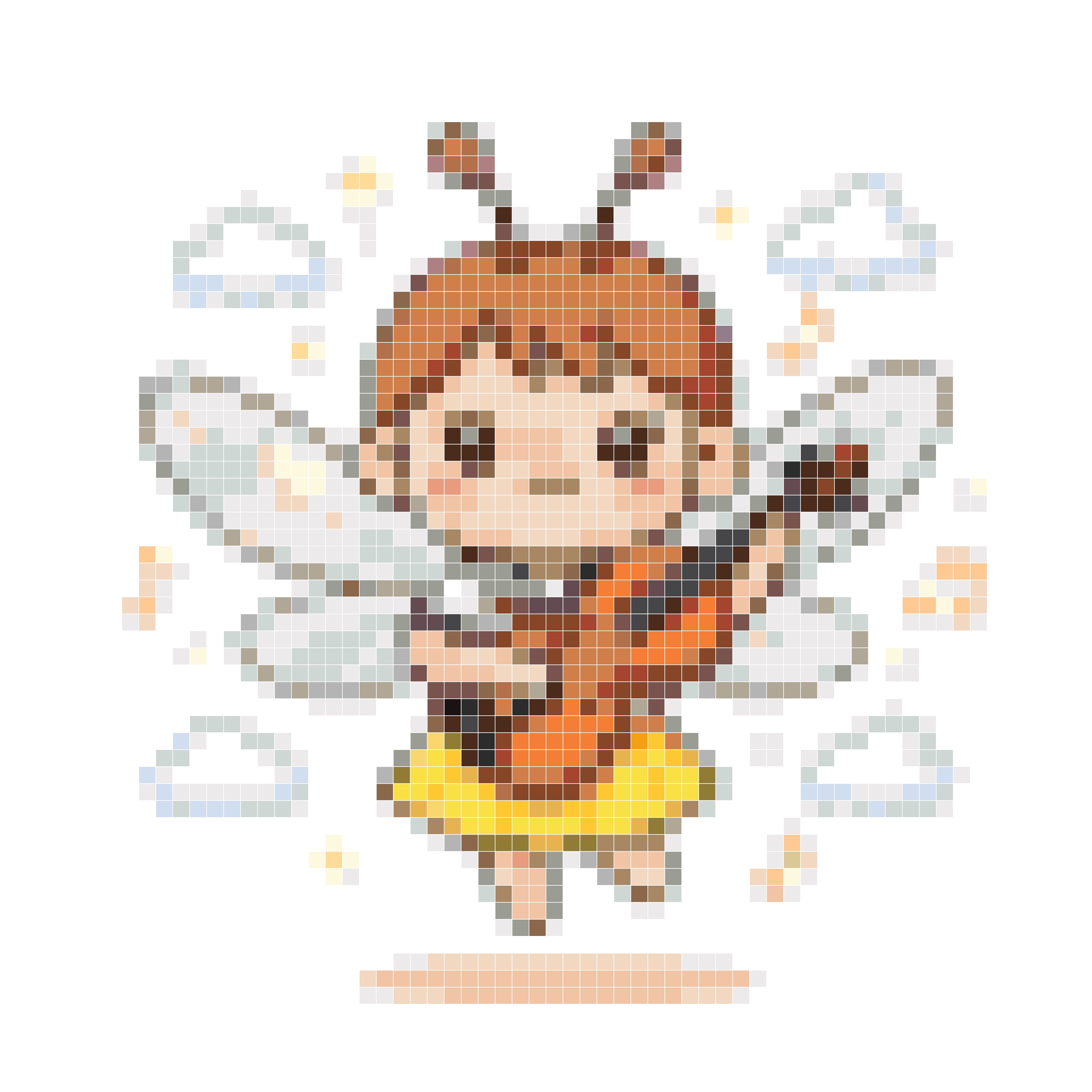 天空演奏家