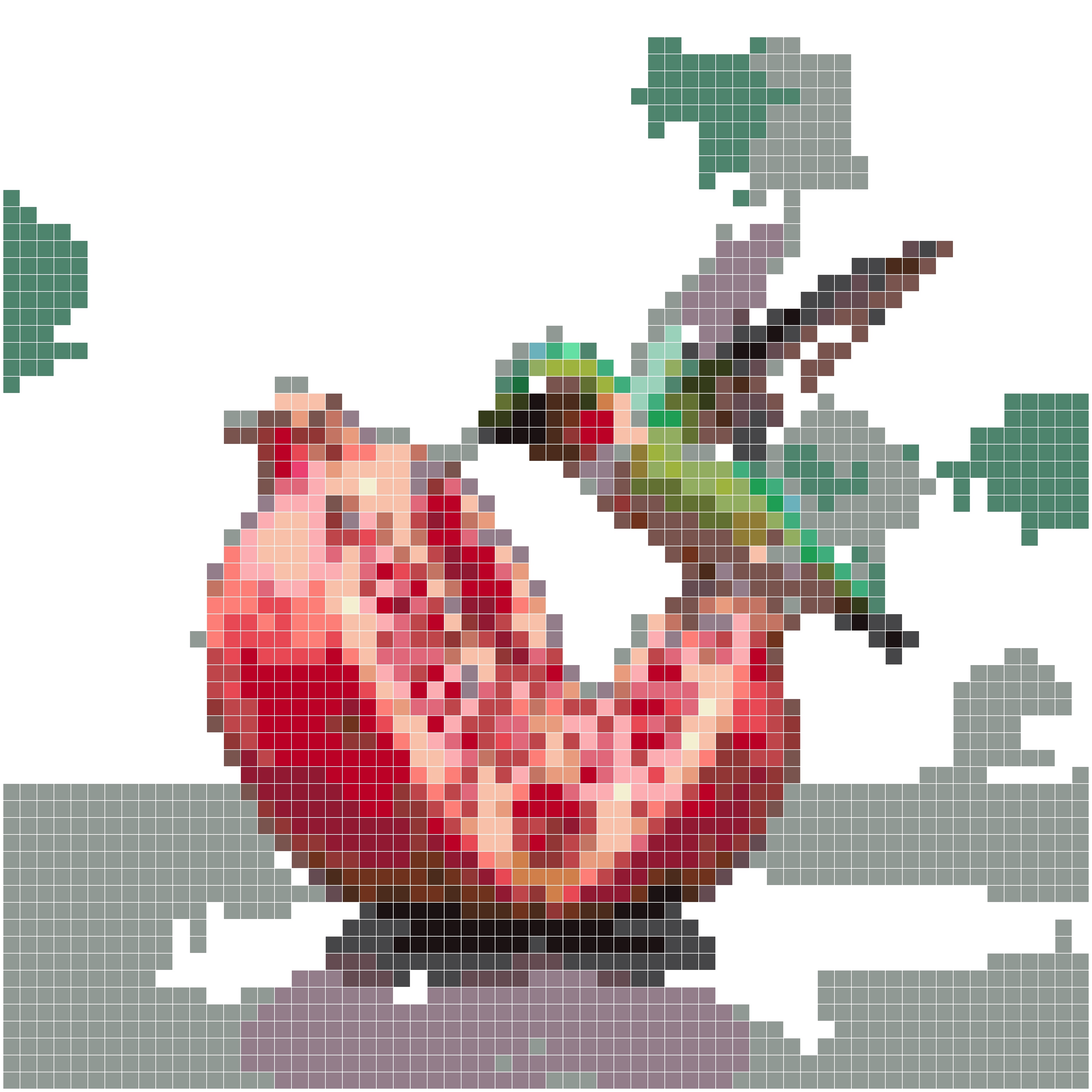 石榴与蜂鸟