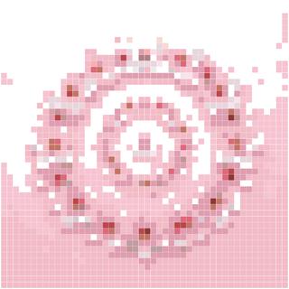 梦幻樱花
