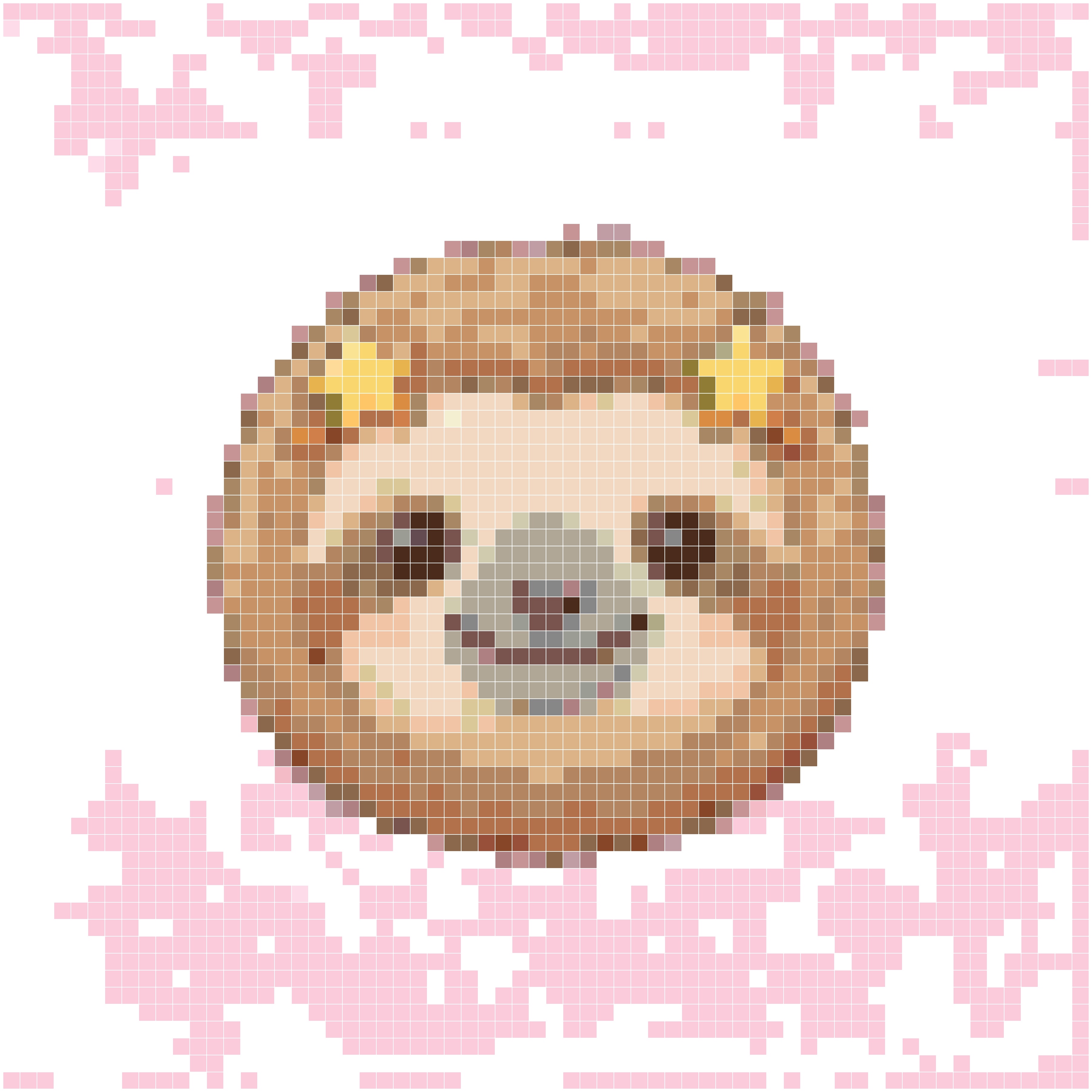 憨萌长爪树懒与星星发卡