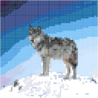 雪山孤狼