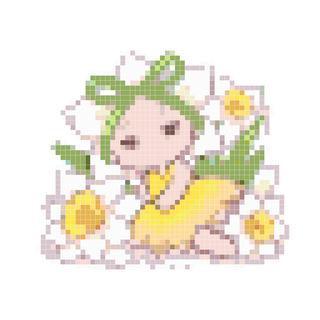 睡花花仙