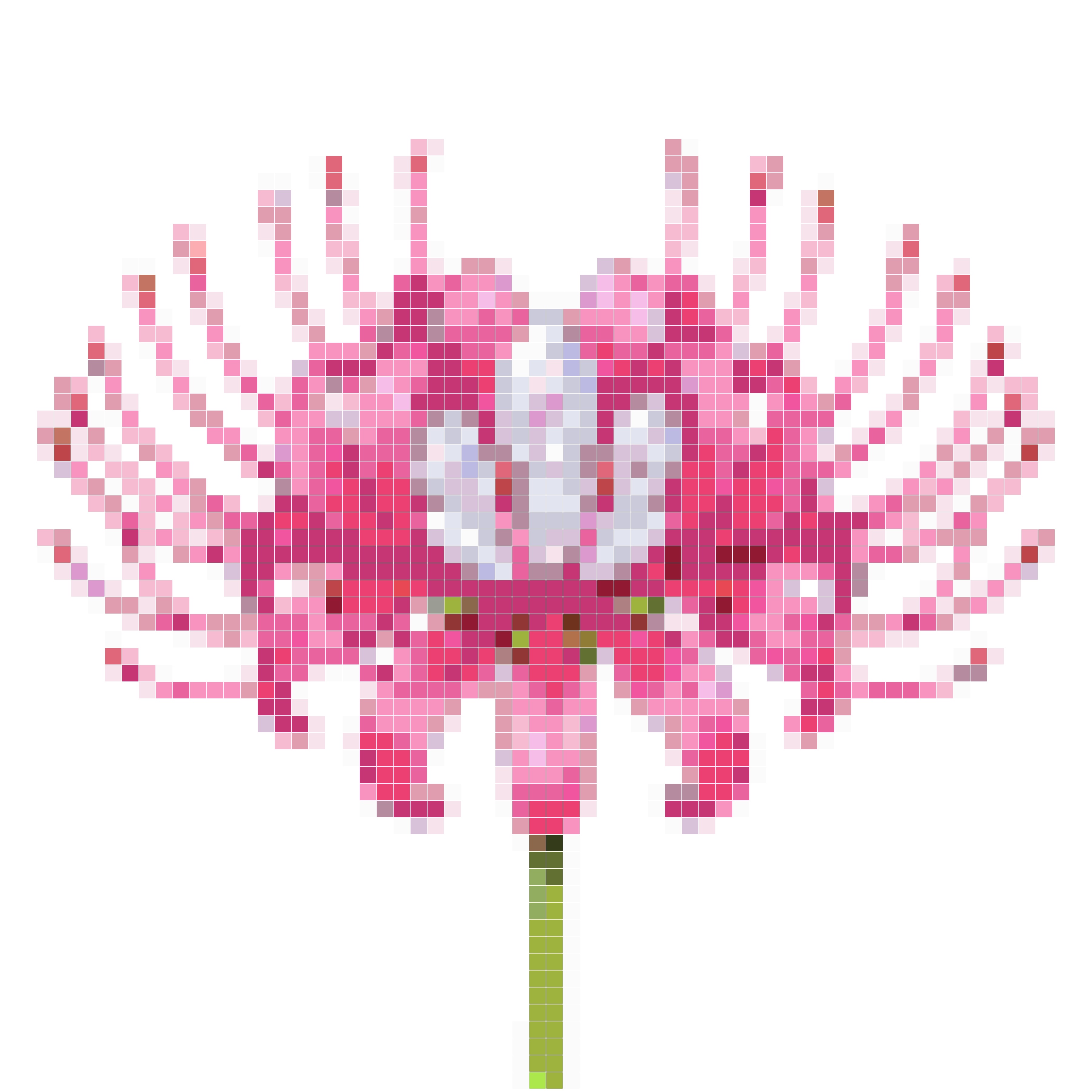 花之魅影