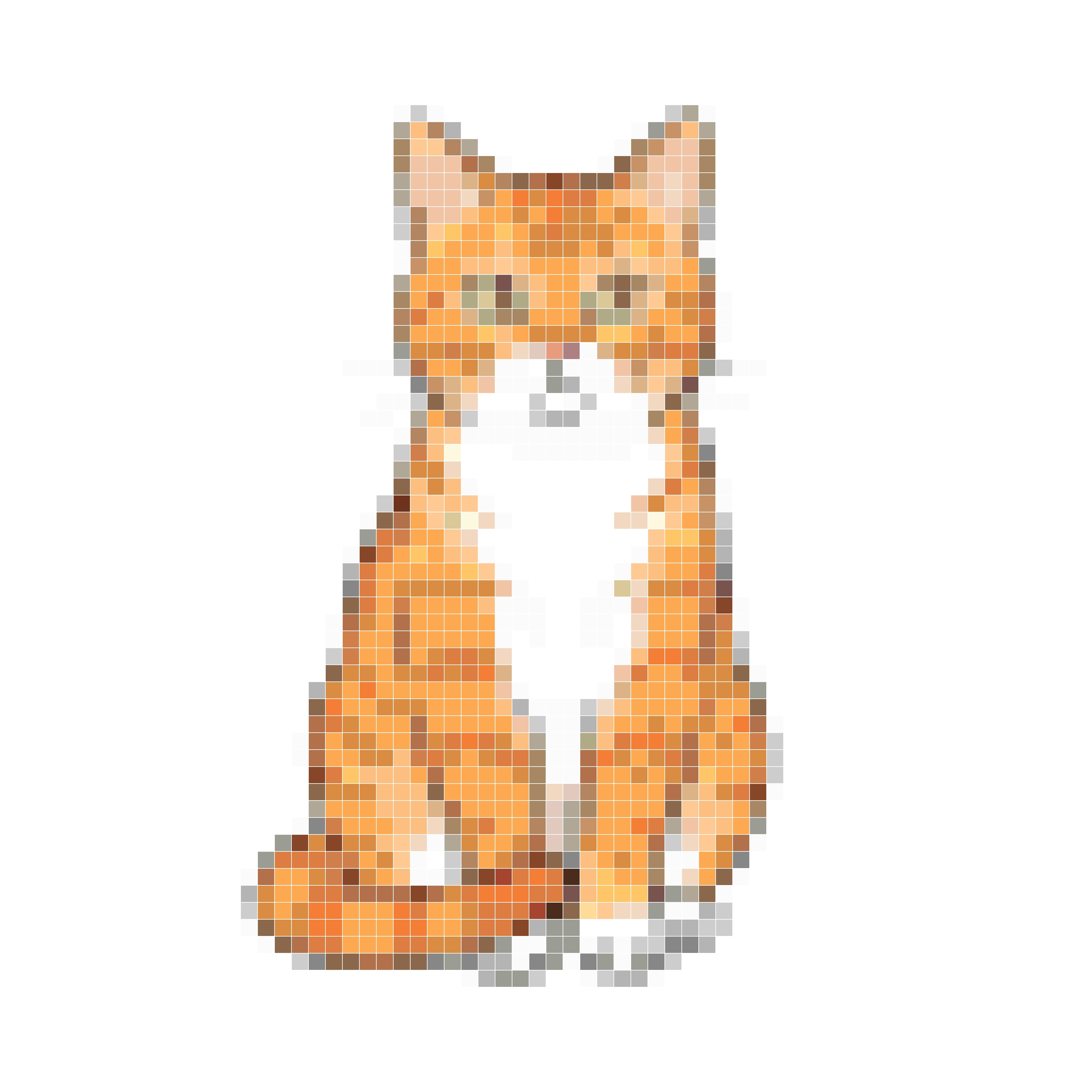 一只橙色的猫