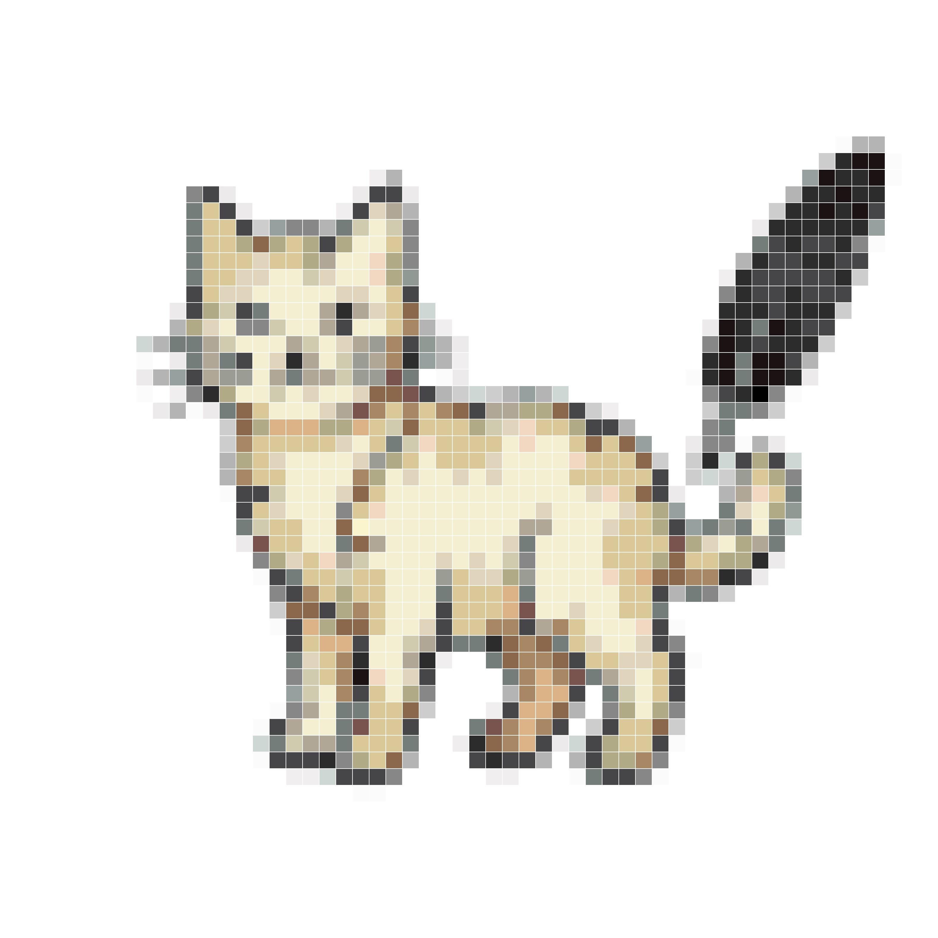 魔法卷轴猫