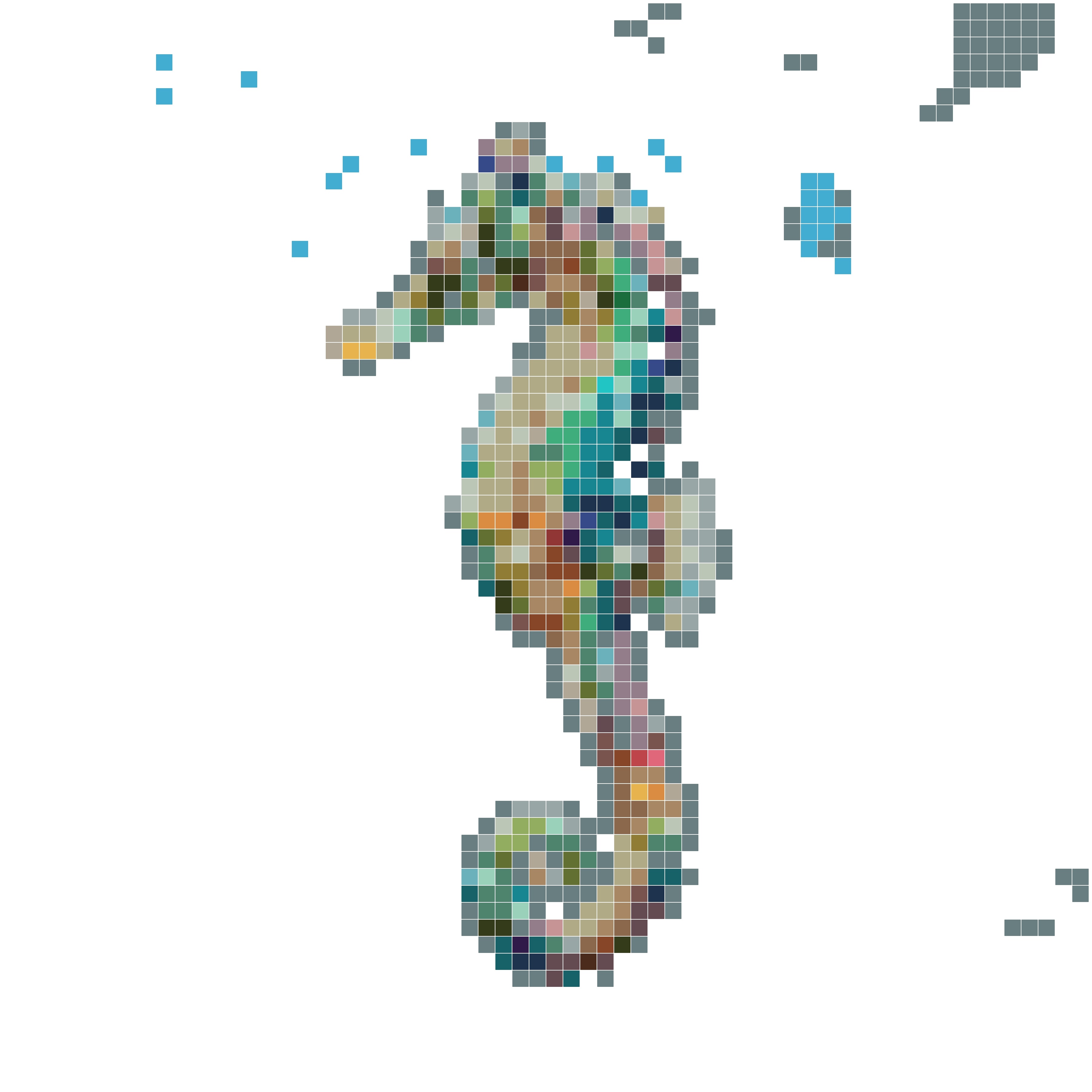 彩色海马