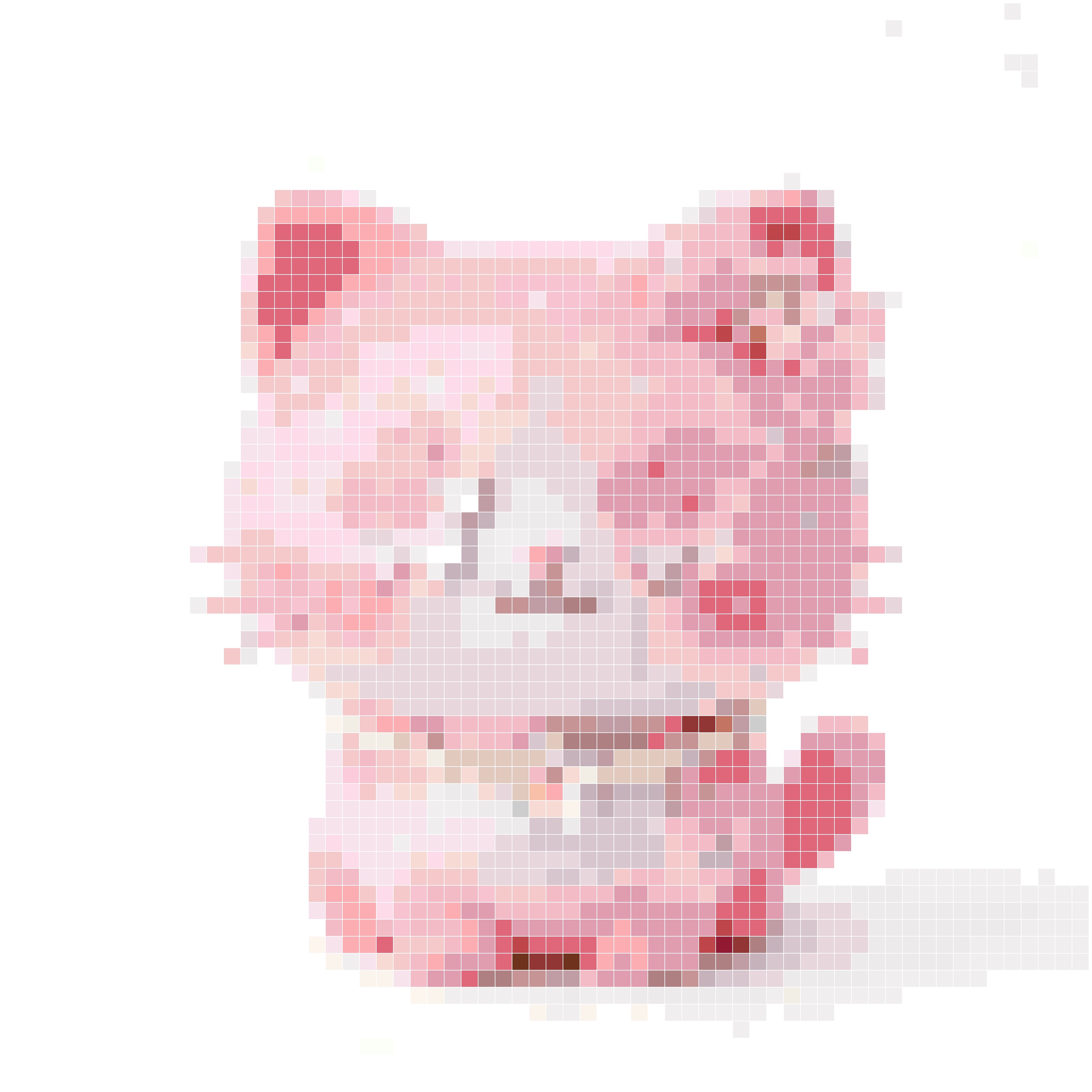 樱花波点猫