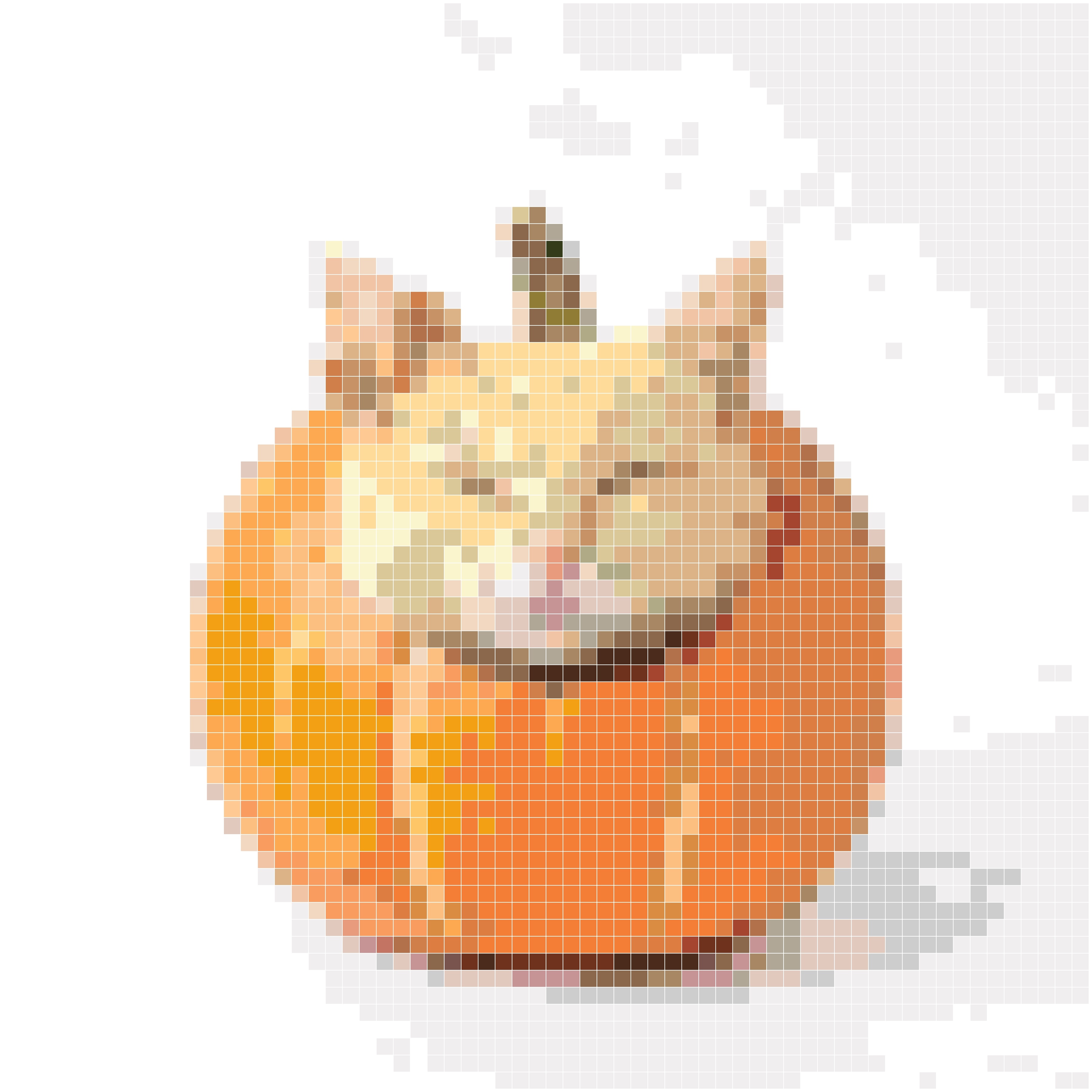 蜜糖南瓜猫