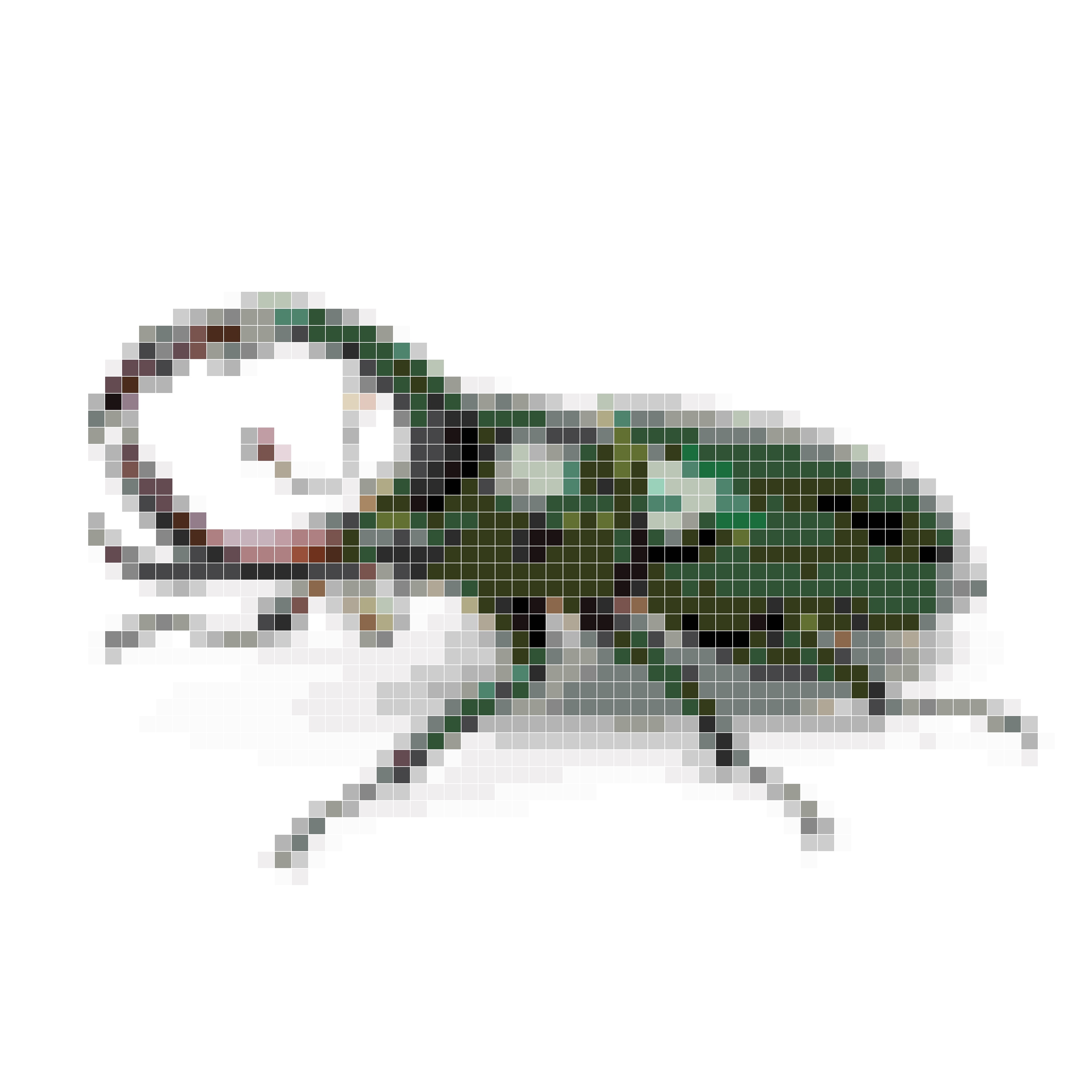 独角仙甲虫