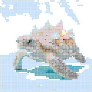 珍珠冰淇淋海龟